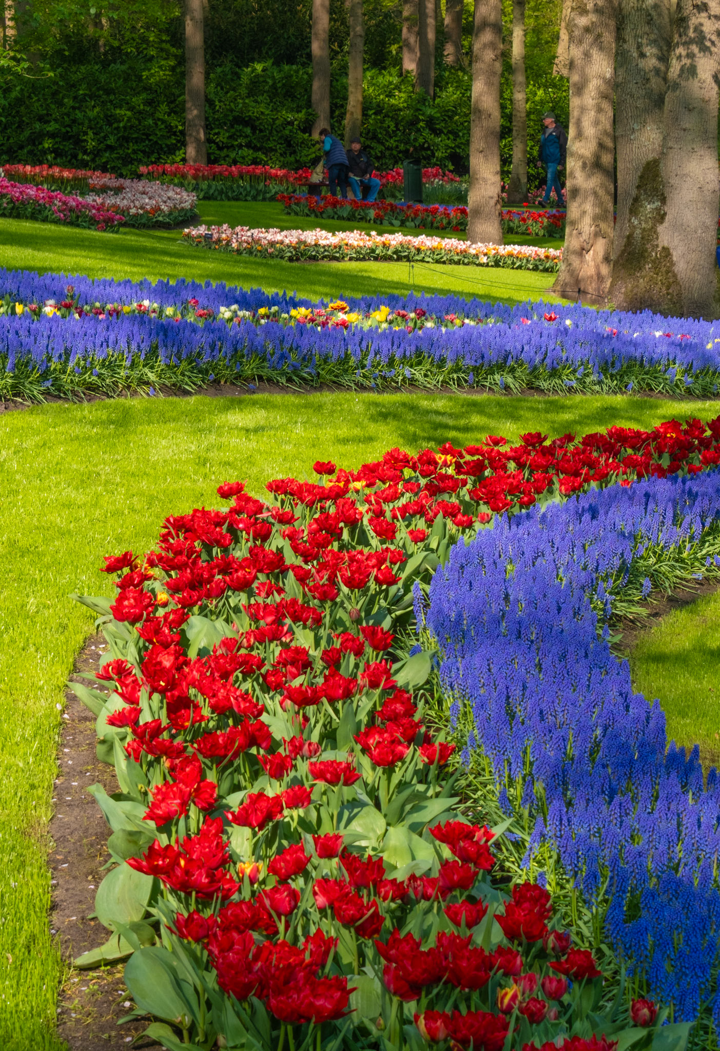 Keukenhof, The Netherlands