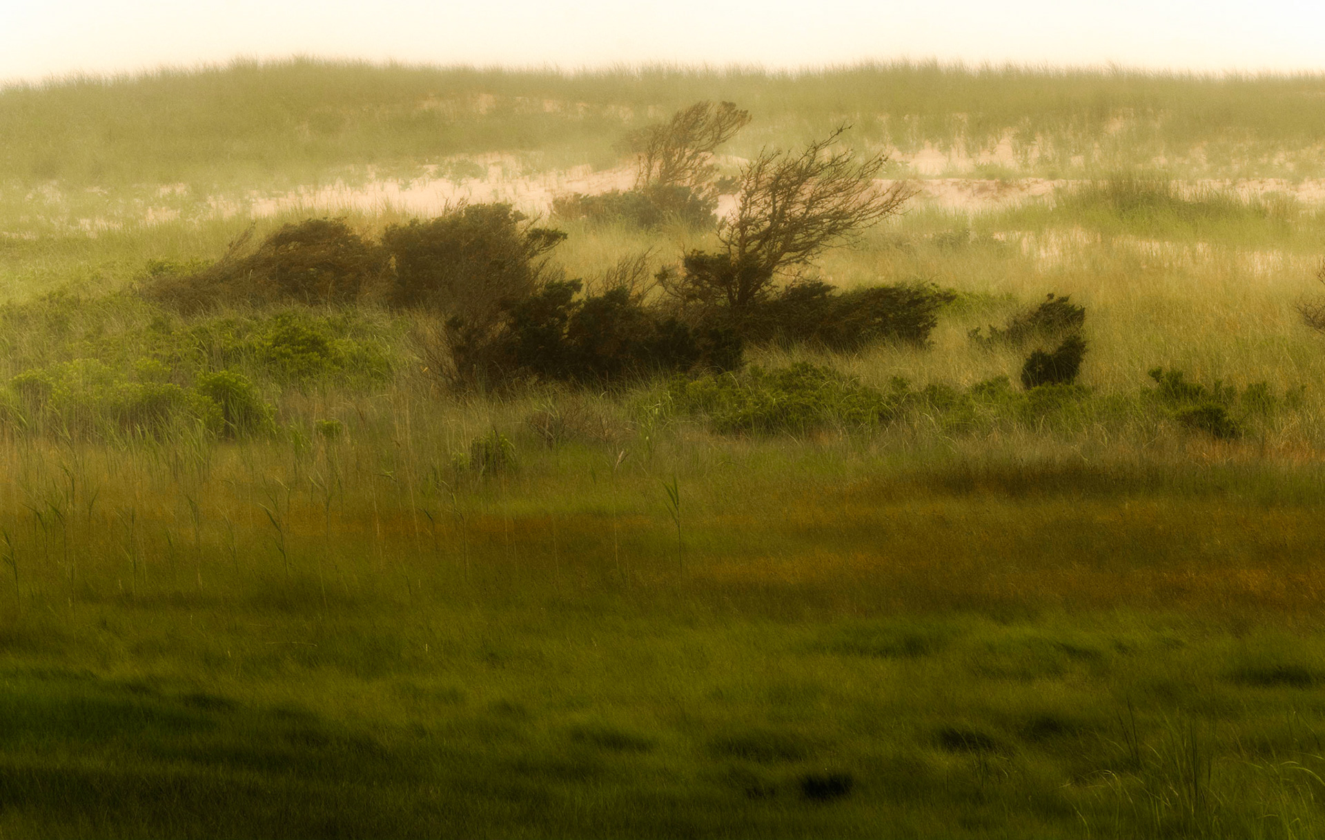 Pochet Neck, Cape Cod, Massachusetts