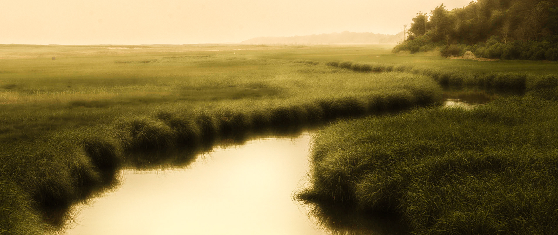 Pochet Neck, Cape Cod, Massachusetts