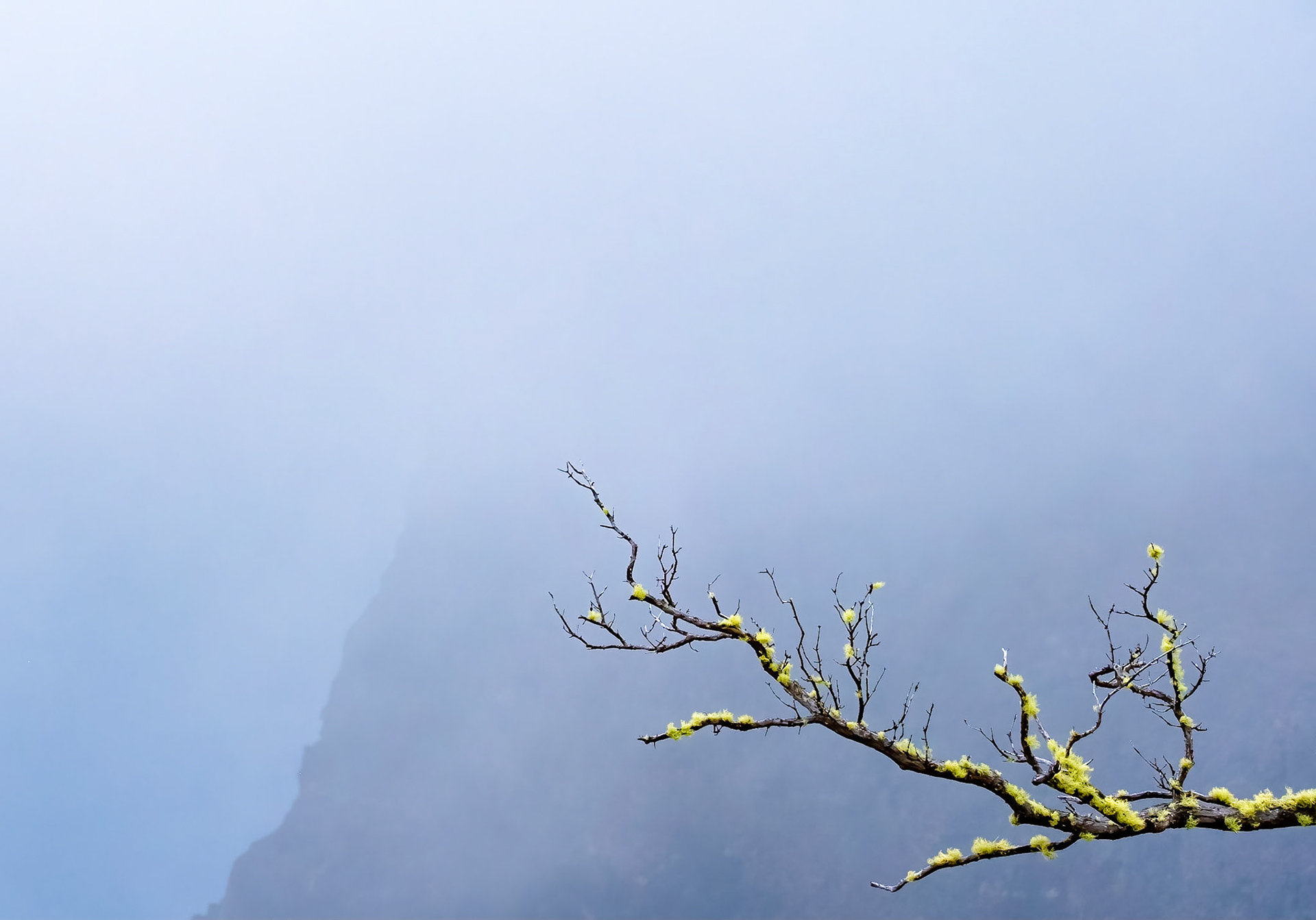 Hawaii Volcanoes National Park, Hawaii