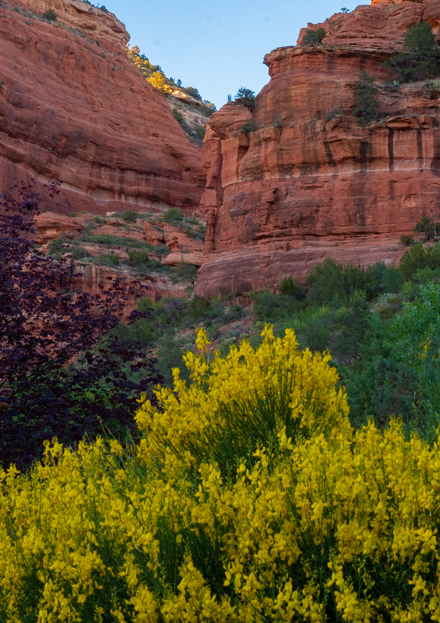 Boynton Canyon, Sedona, Arizona