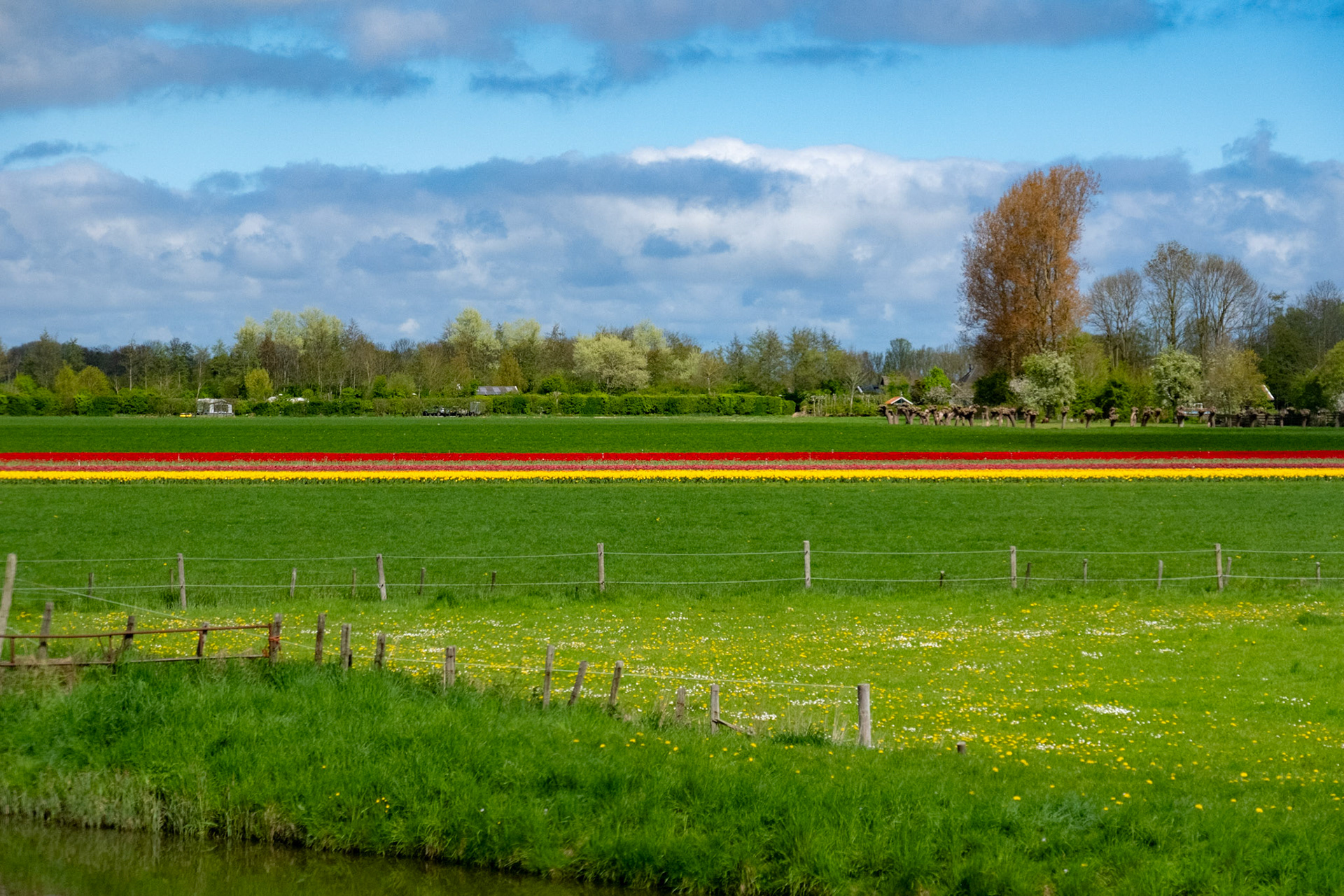 North Holland, The Netherlands