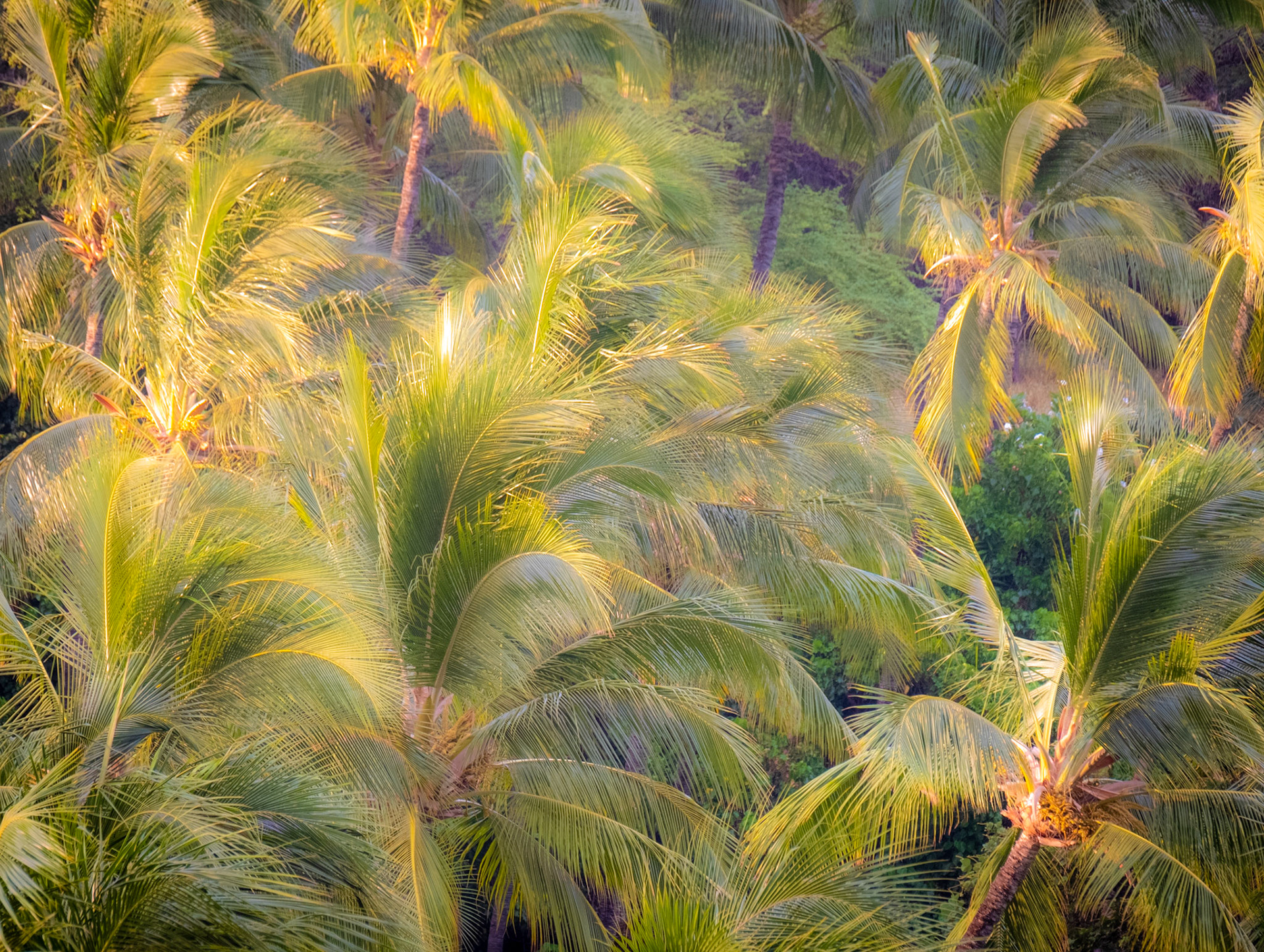 Mauna Kea, Big Island, Hawaii