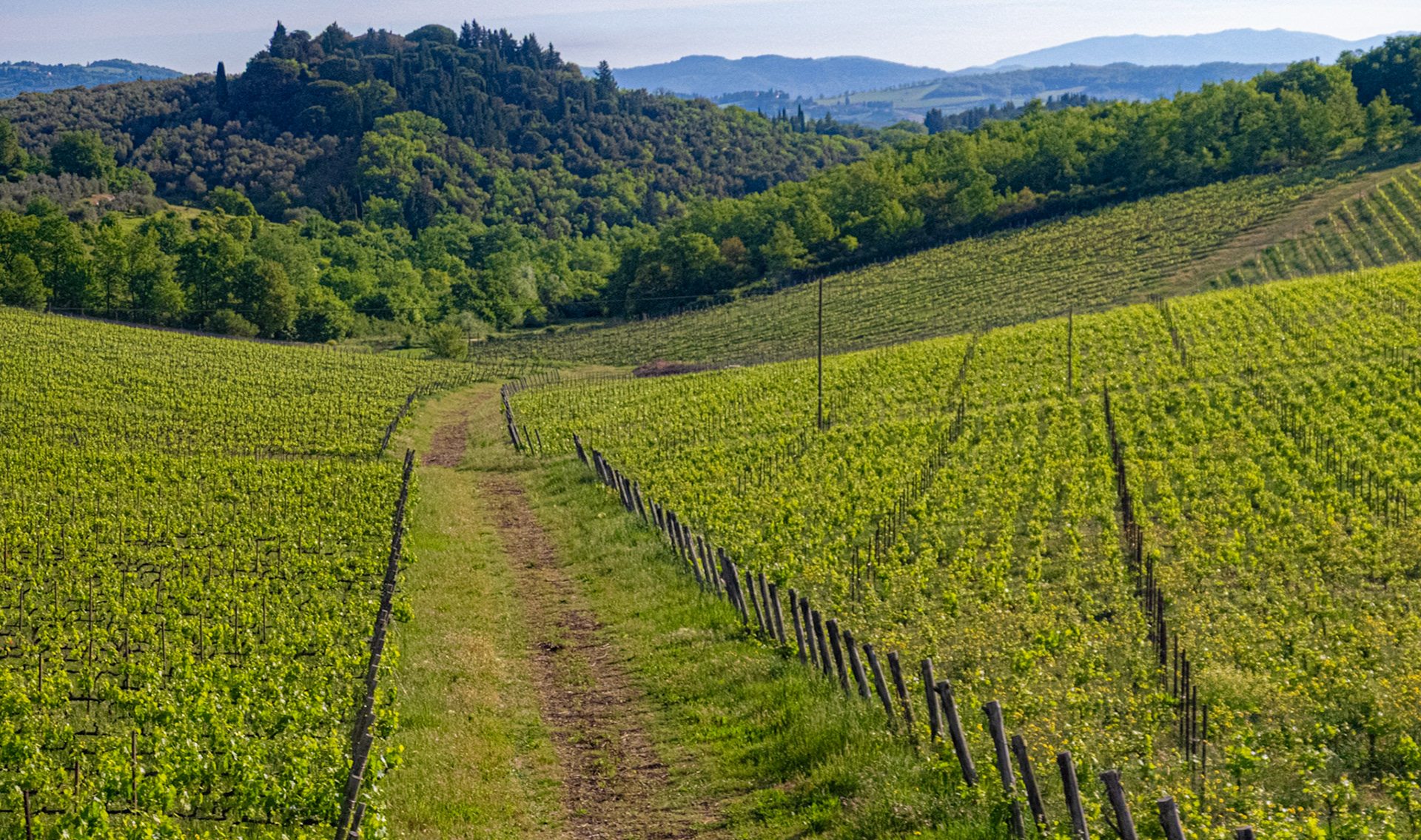 Radda-in-Chianti, Italy