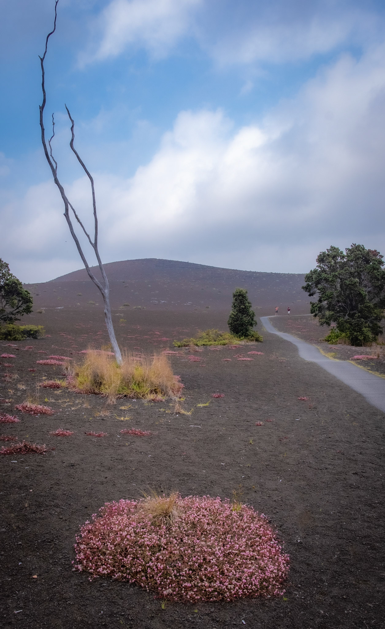 Hawaii Volcanoes National Park, Hawaii