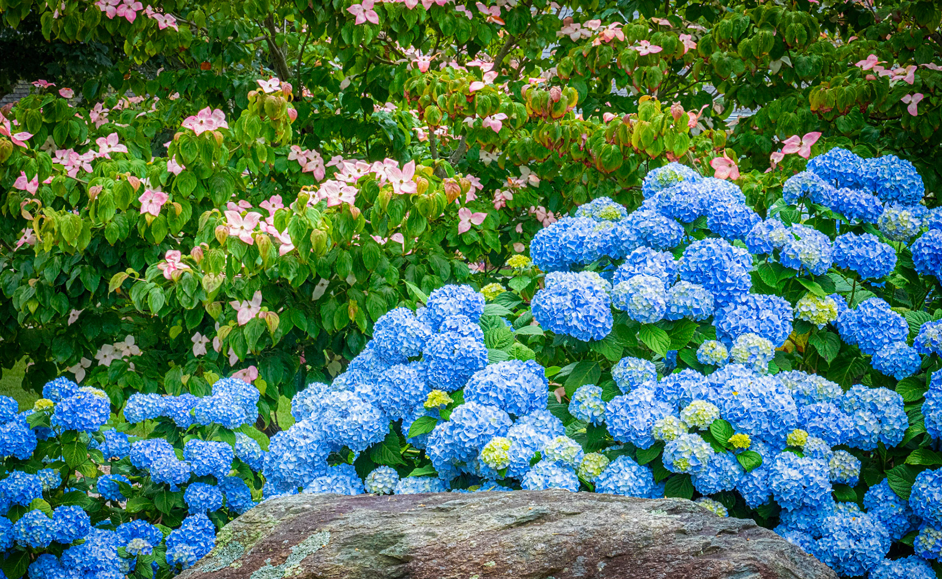 Pochet Neck, Cape Cod, Massachusetts