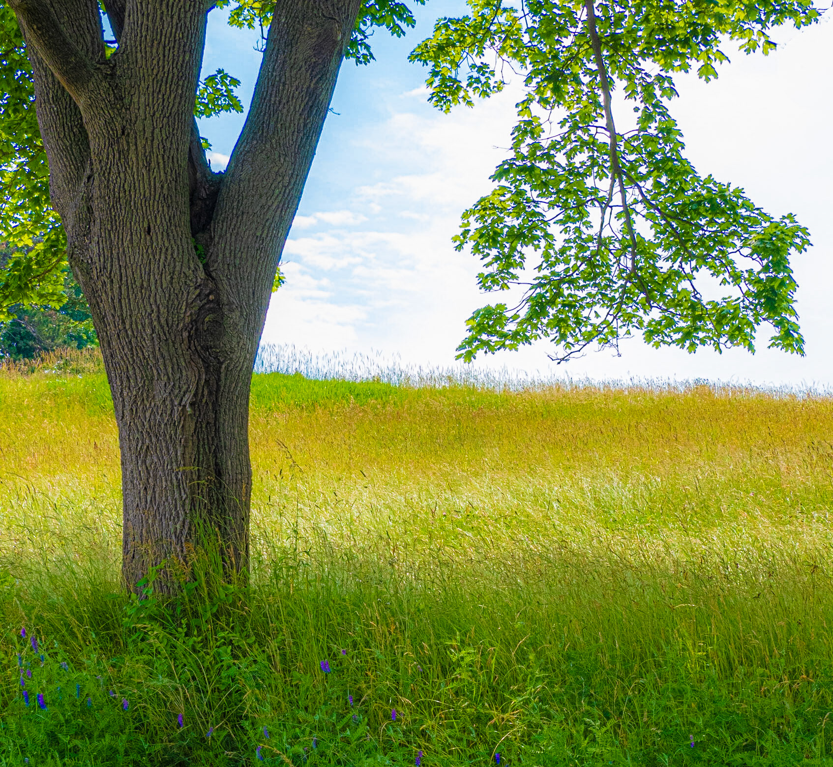 Ipswich, Massachussets