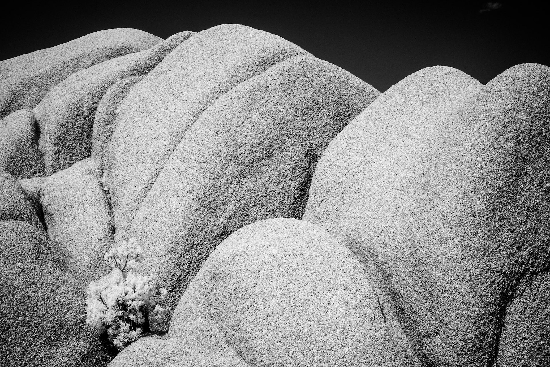 Joshua Tree National Park, California