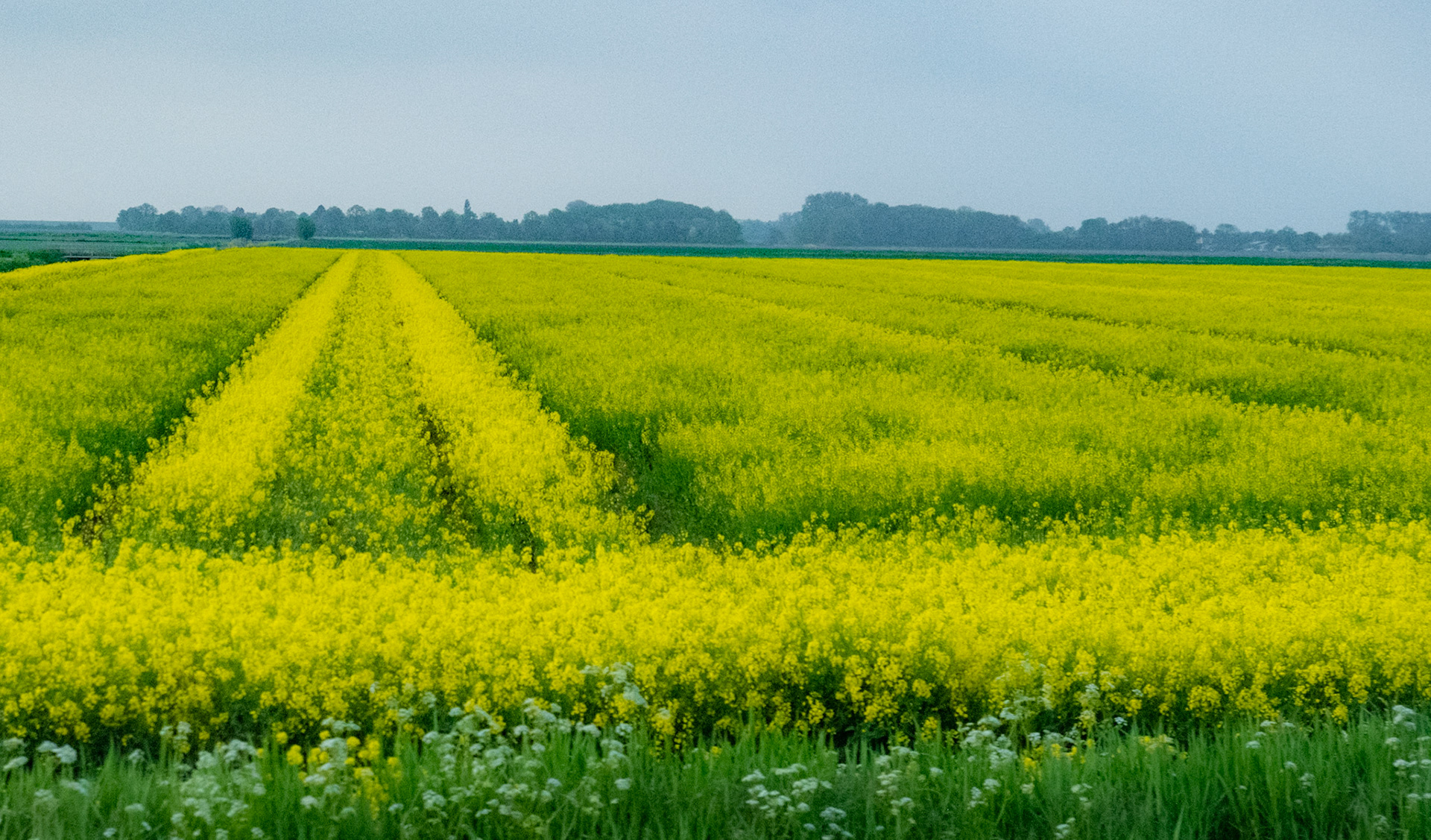 Zeeland, The Netherlands