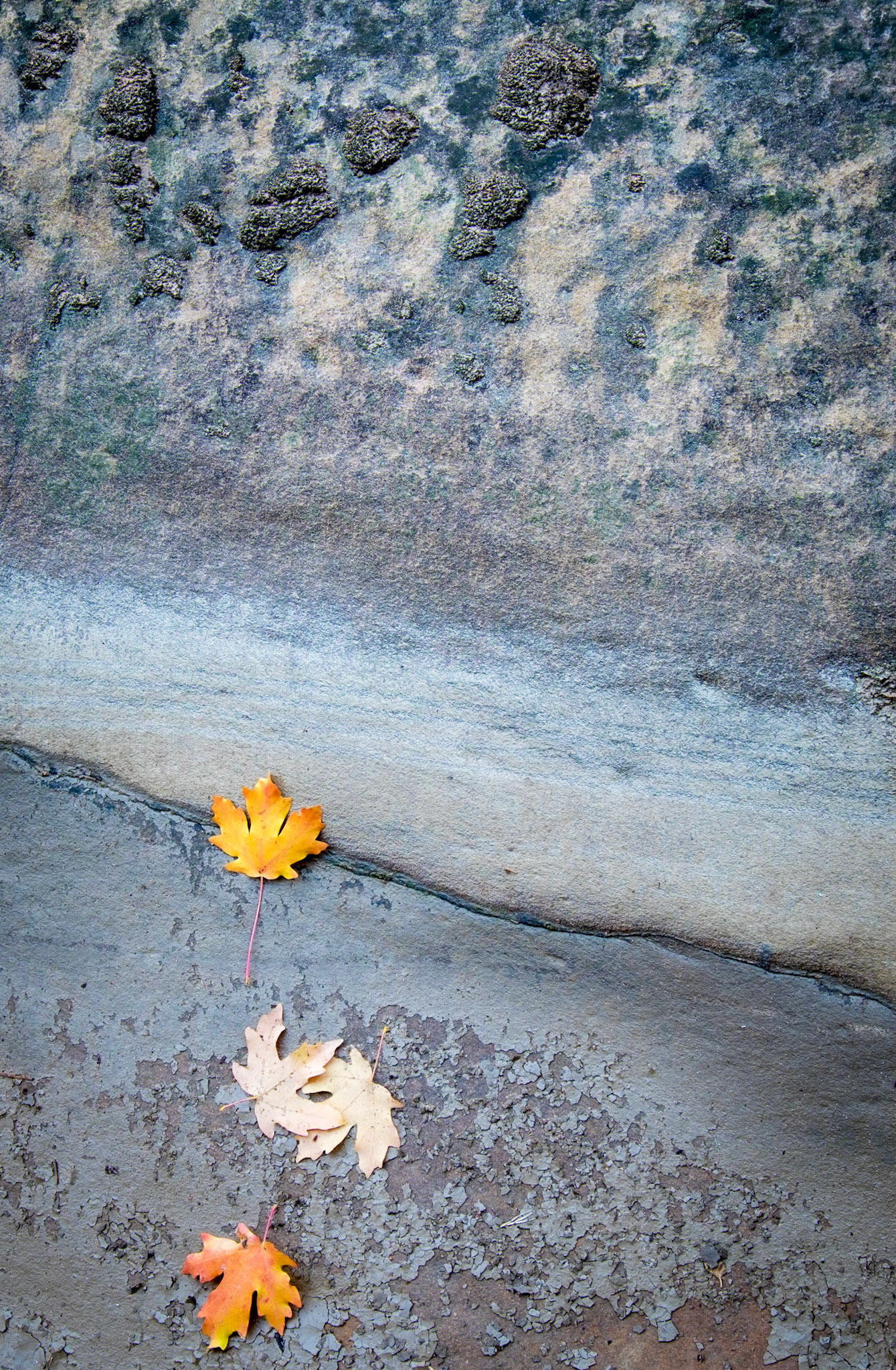 Zion National Park, Utah