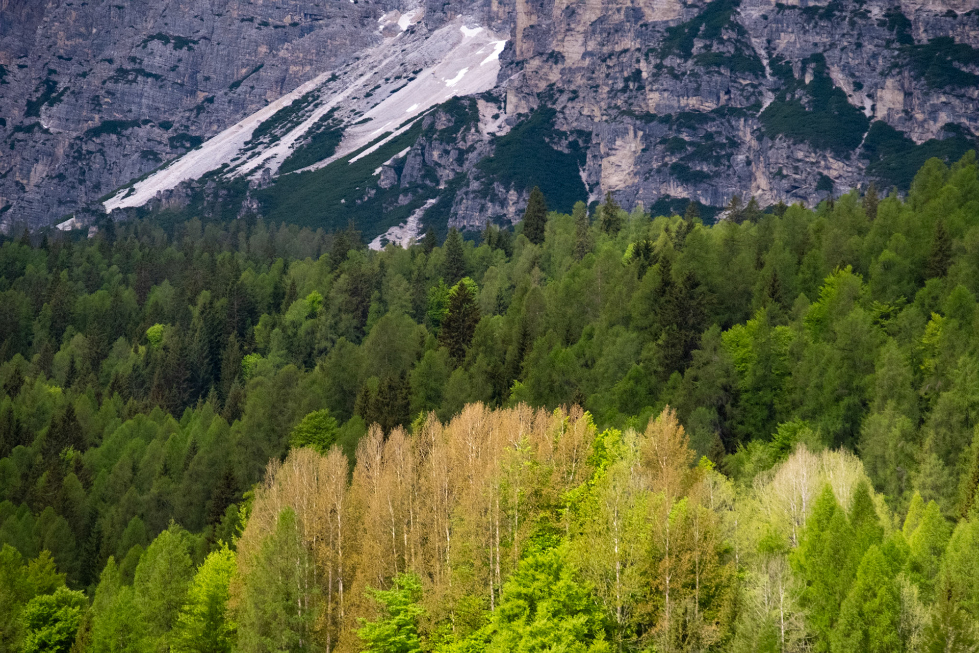 Dolomites, Italy