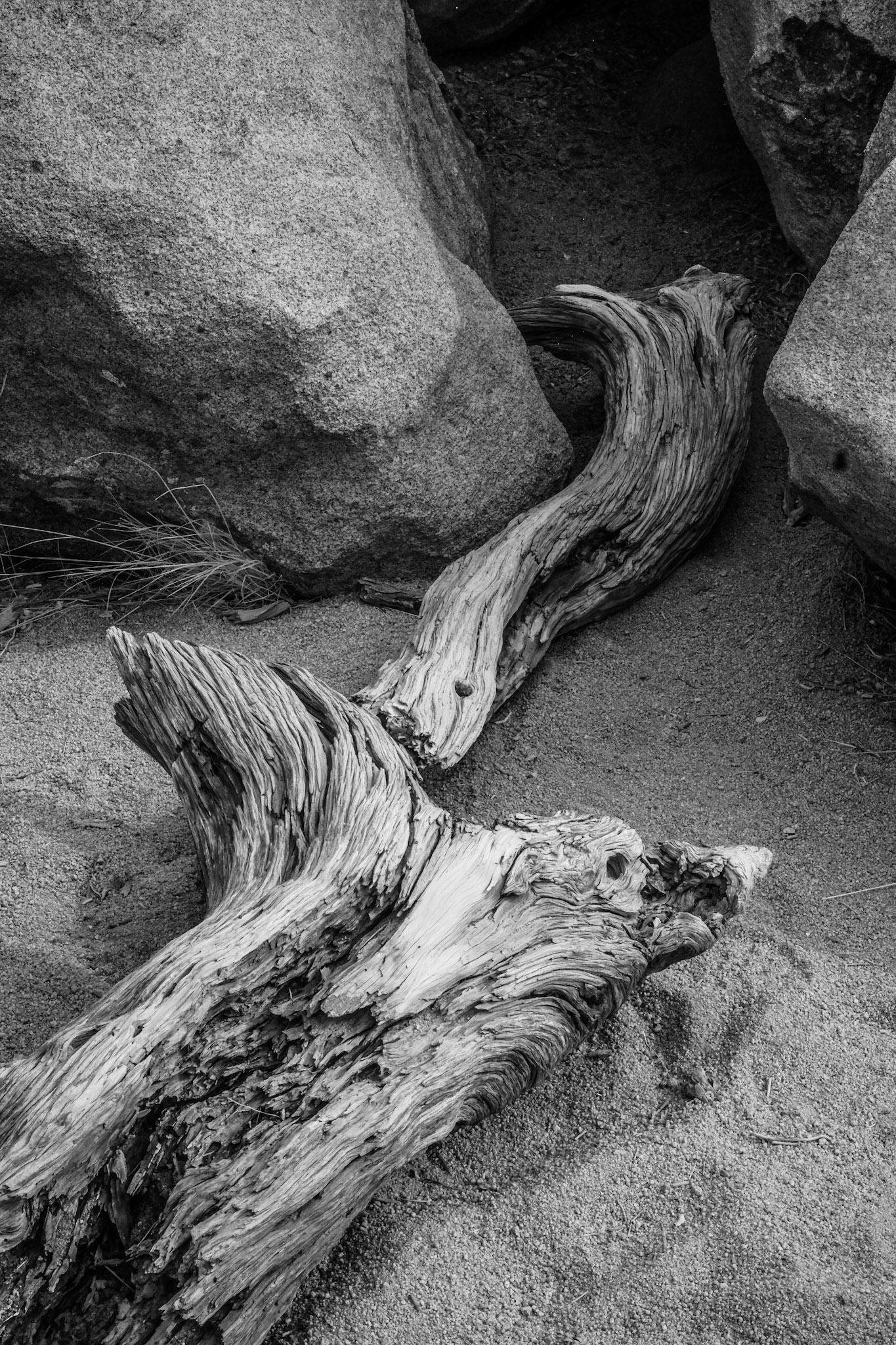 Joshua Tree National Park, California