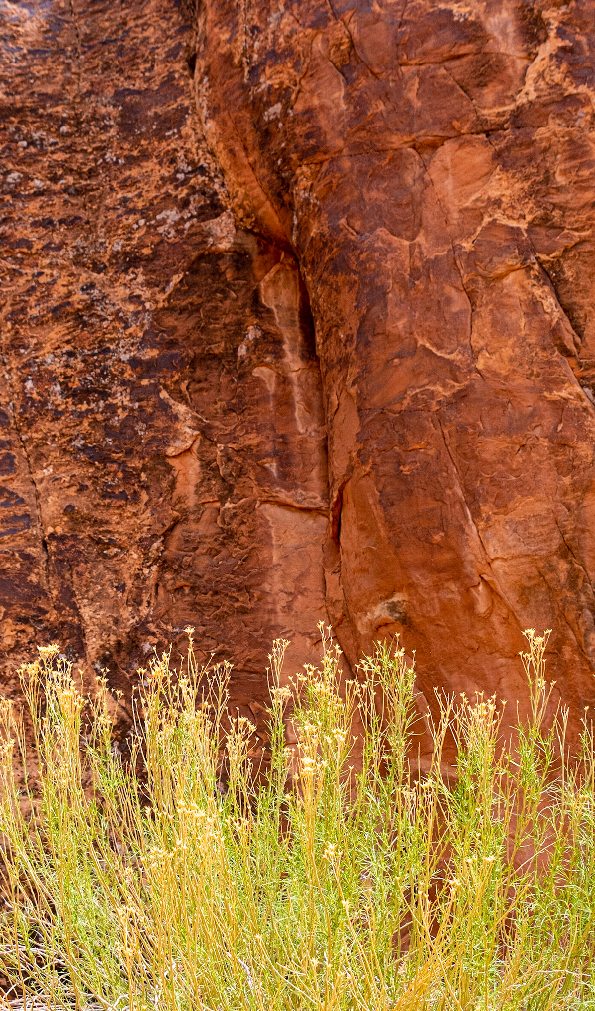 Arches National Park, Utah