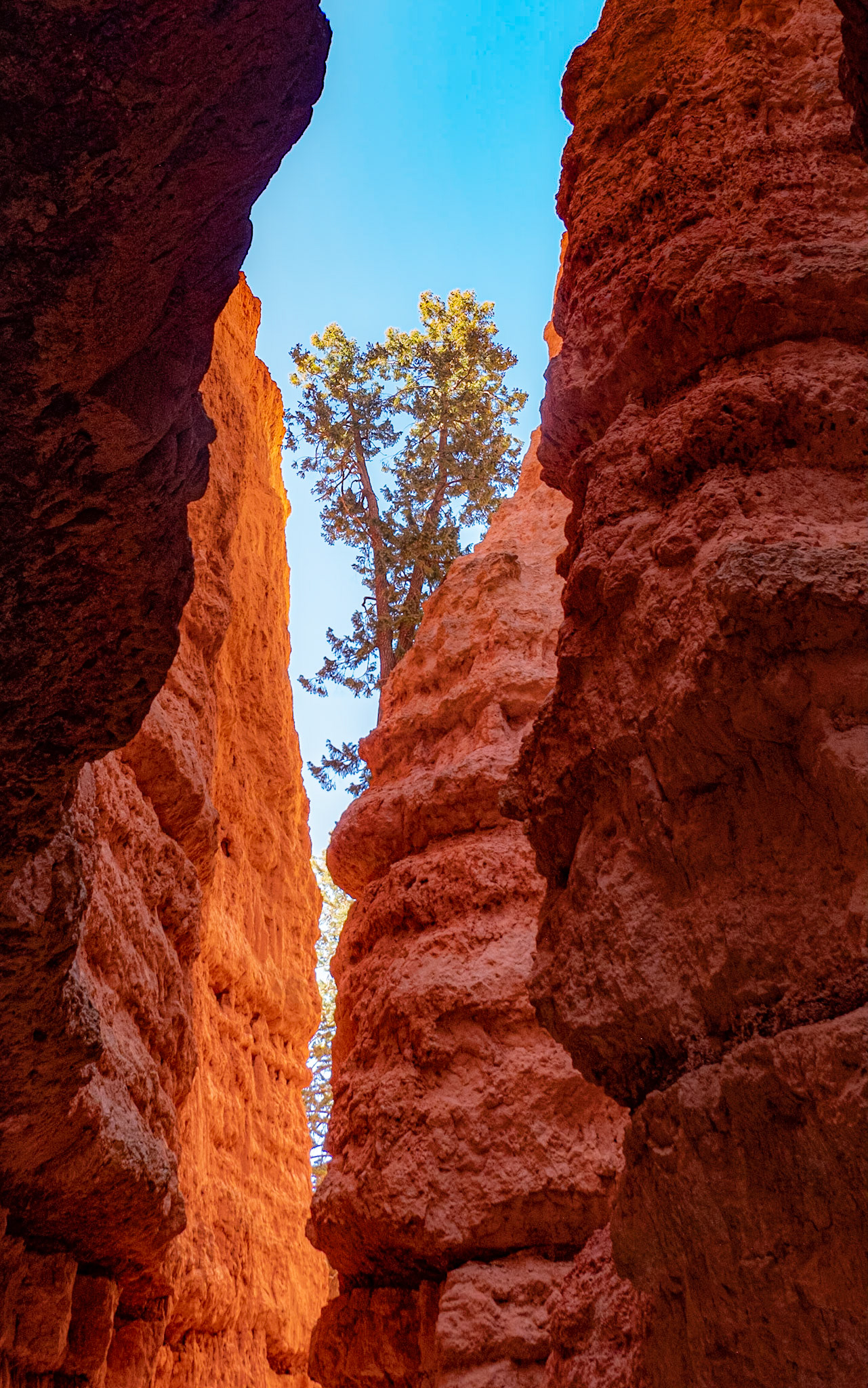 Bryce Canyon National Park, Utah