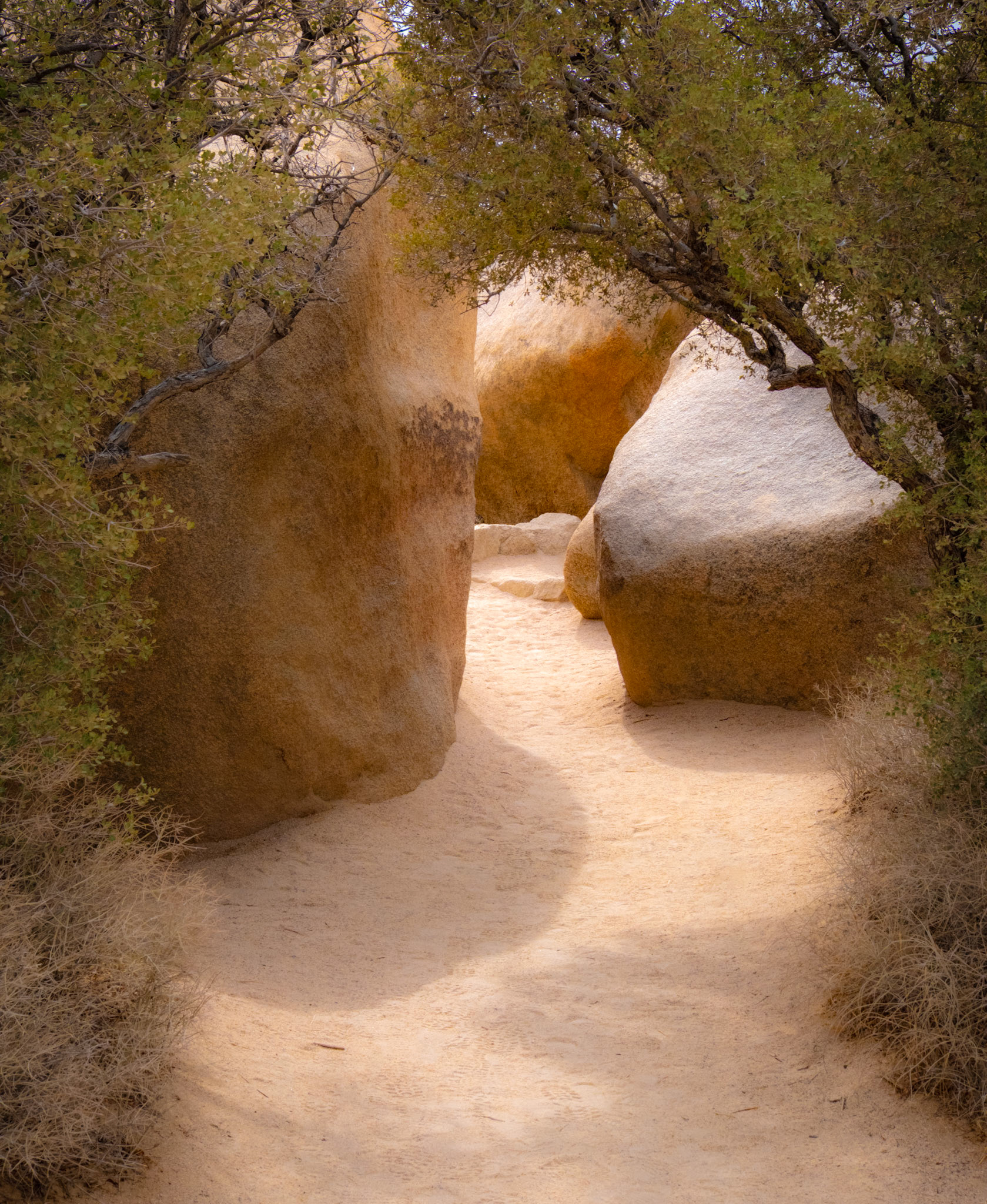 Joshua Tree National Park, California