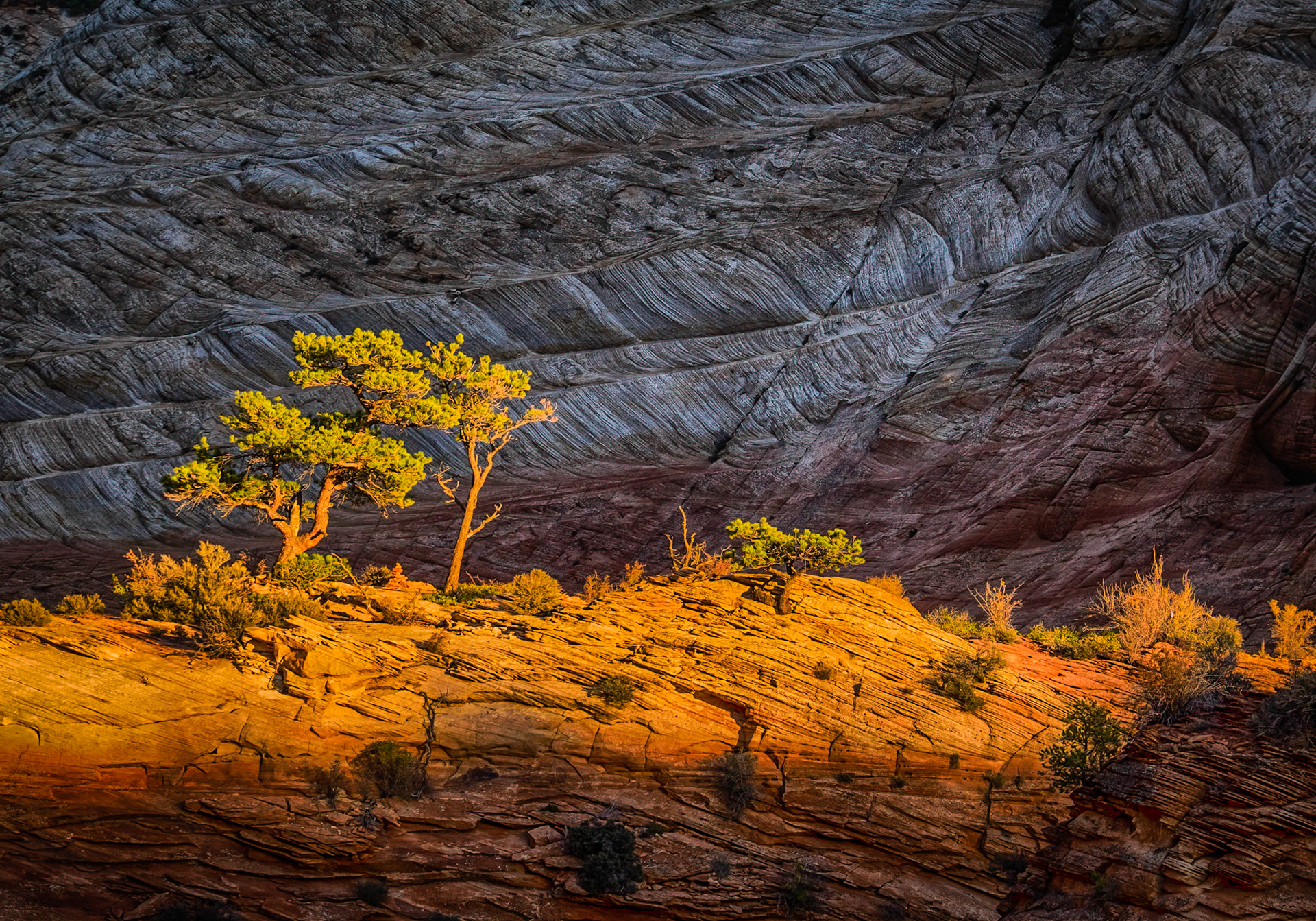 Zion National Park, Utah