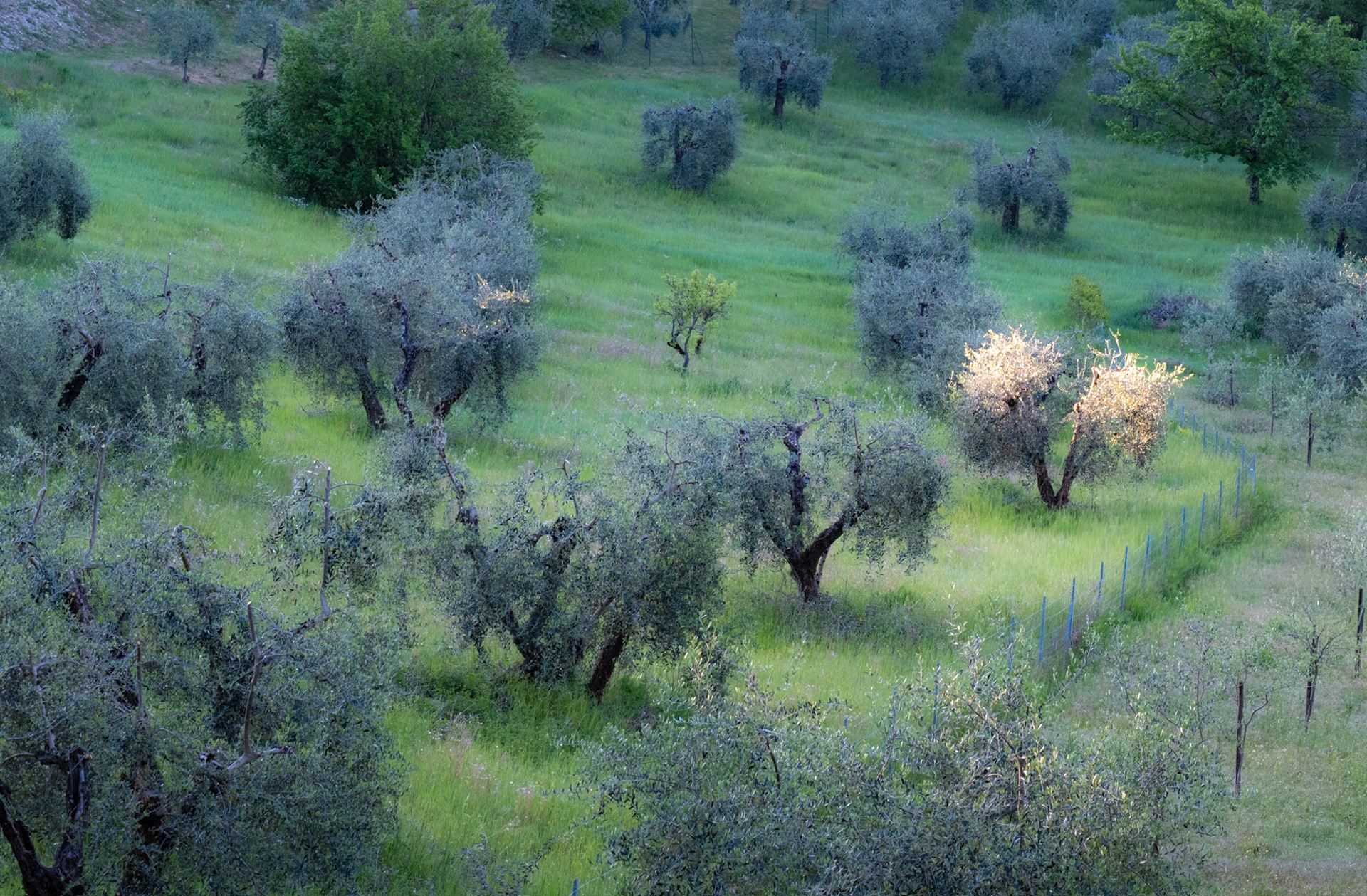 Radda-in-Chianti, Italy