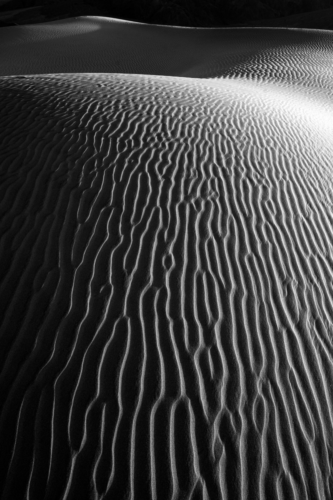 Mesquite Flat Sand Dunes, Death Valley National Park
