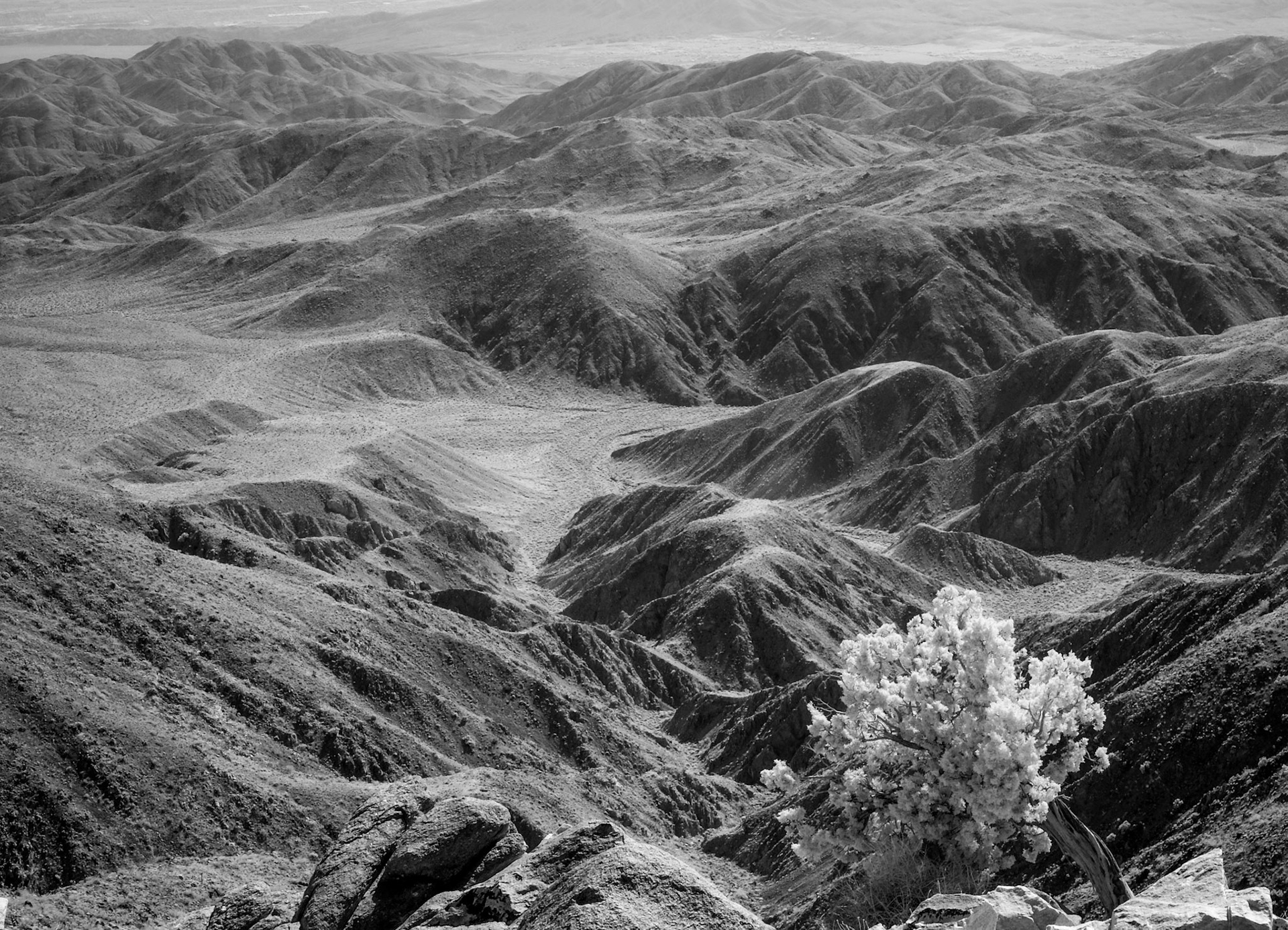 Joshua Tree National Park, California