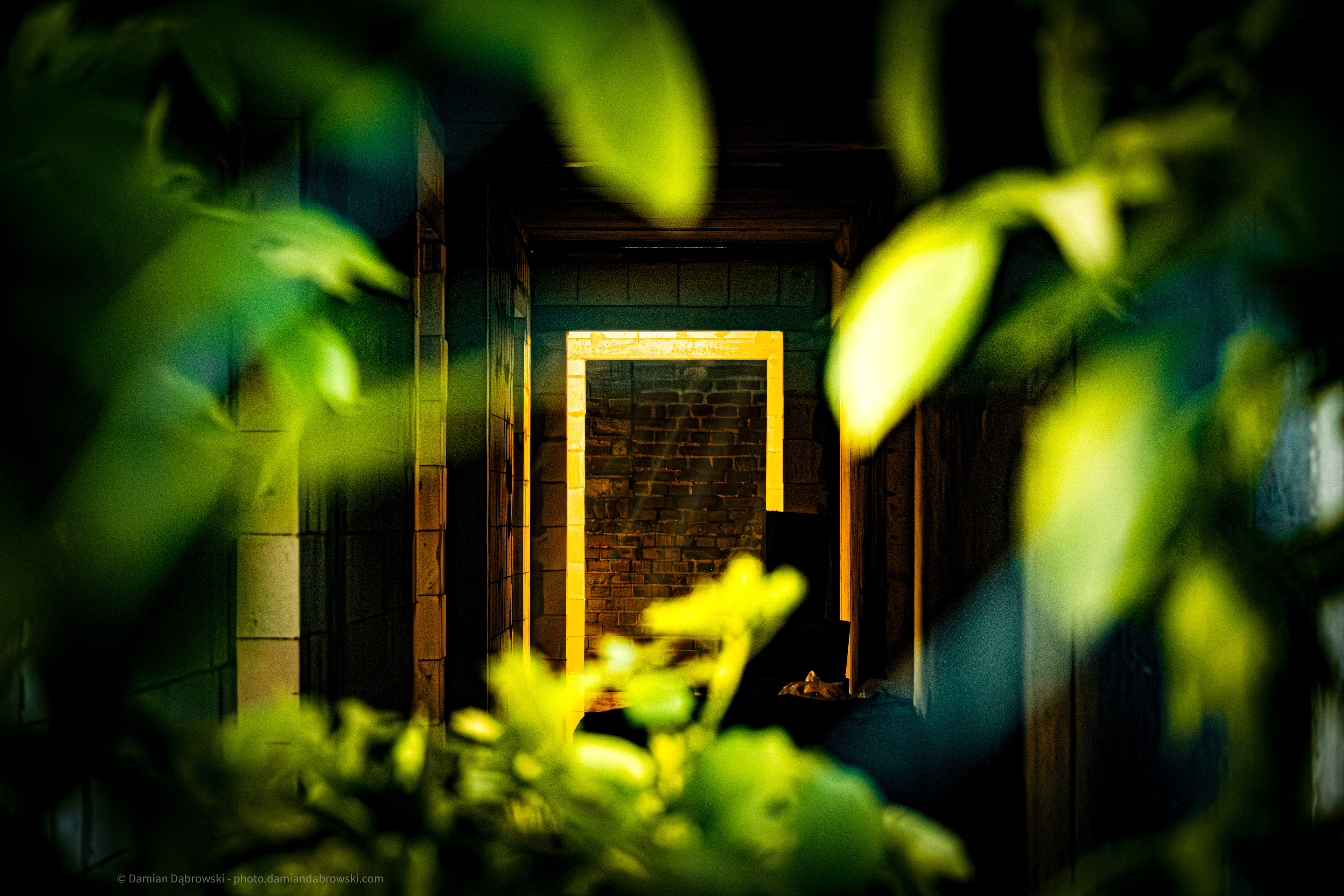 Something’s waiting on the other side. Will you find out?