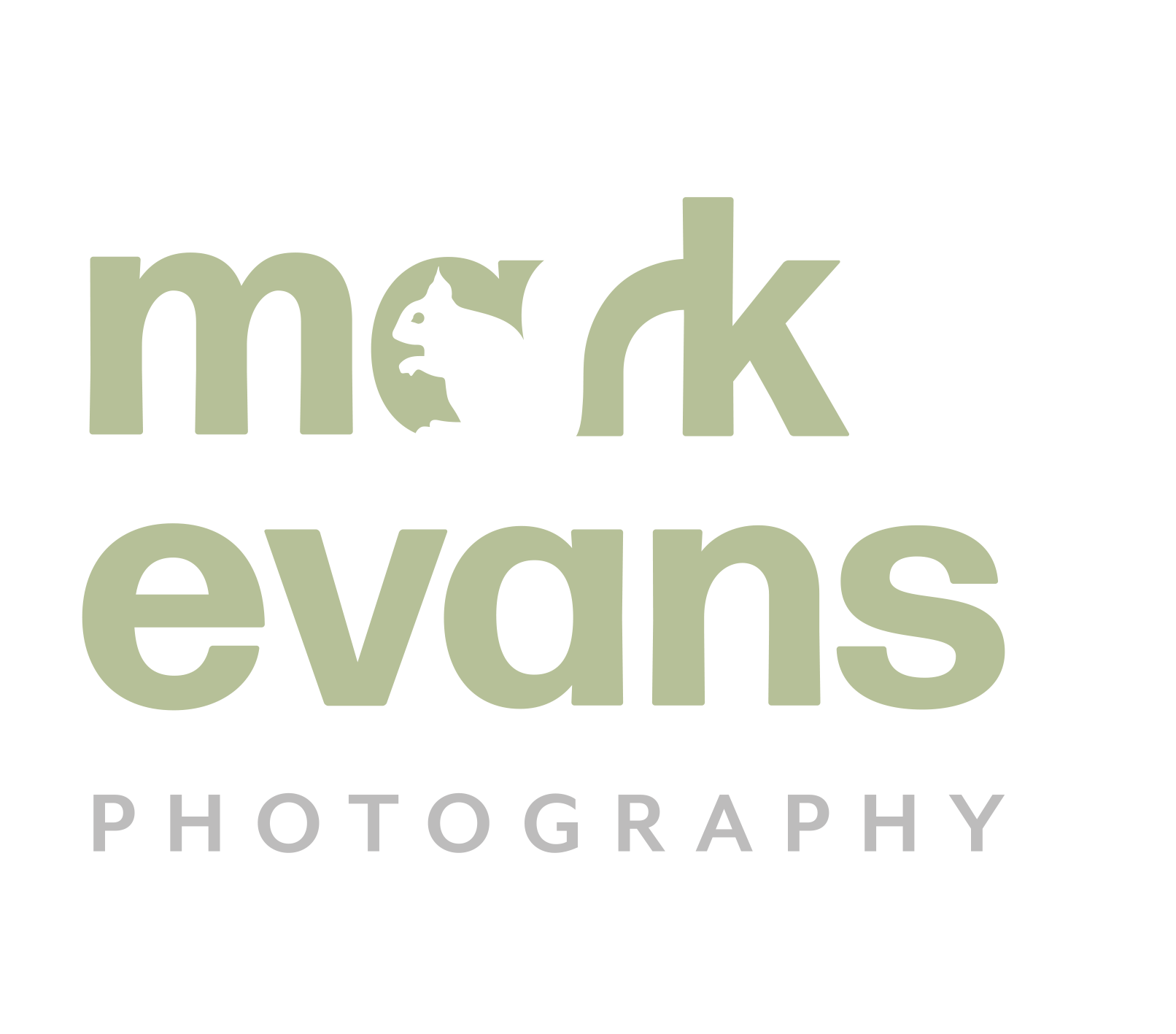 Mark Evans Photography