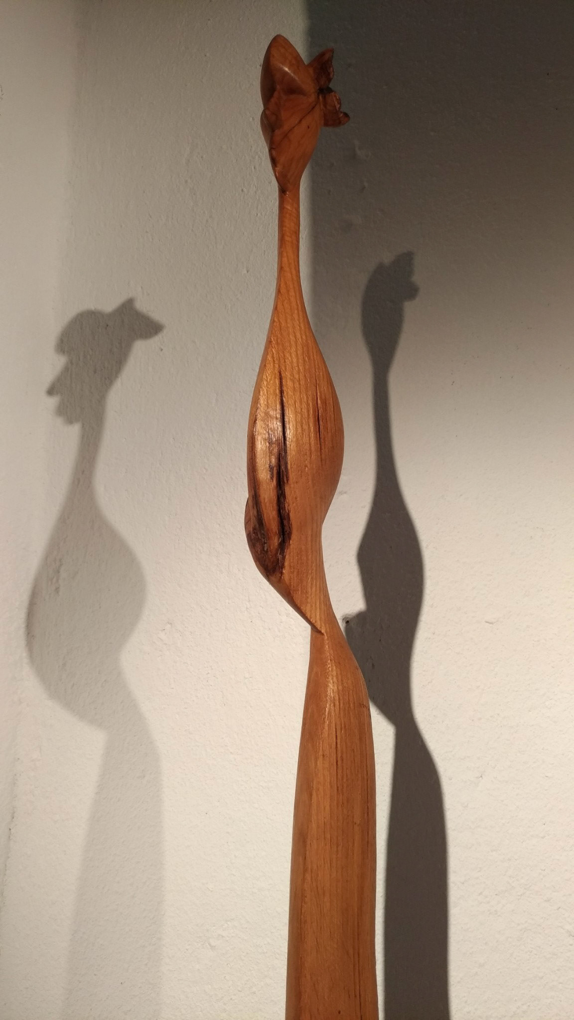 La verticale du fou