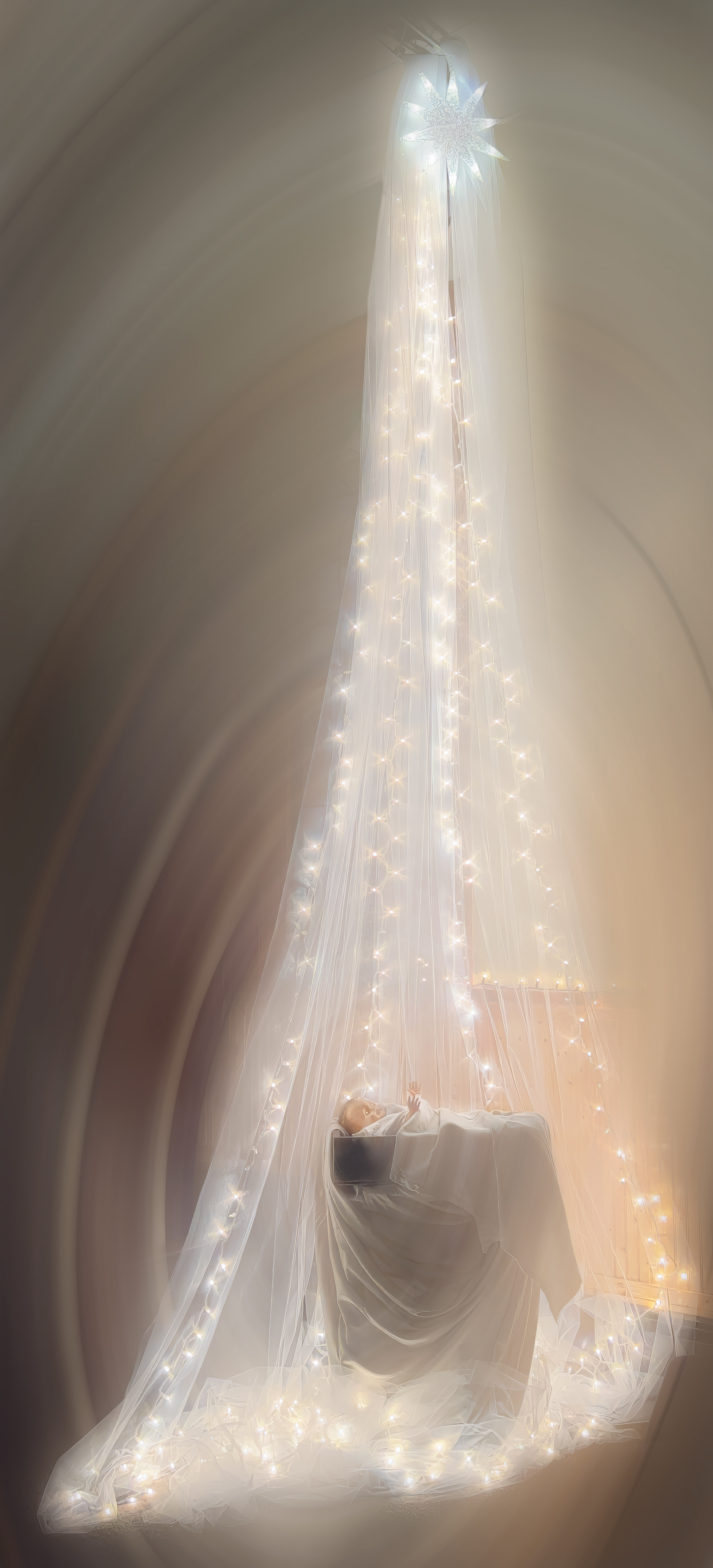 Reason for the Season