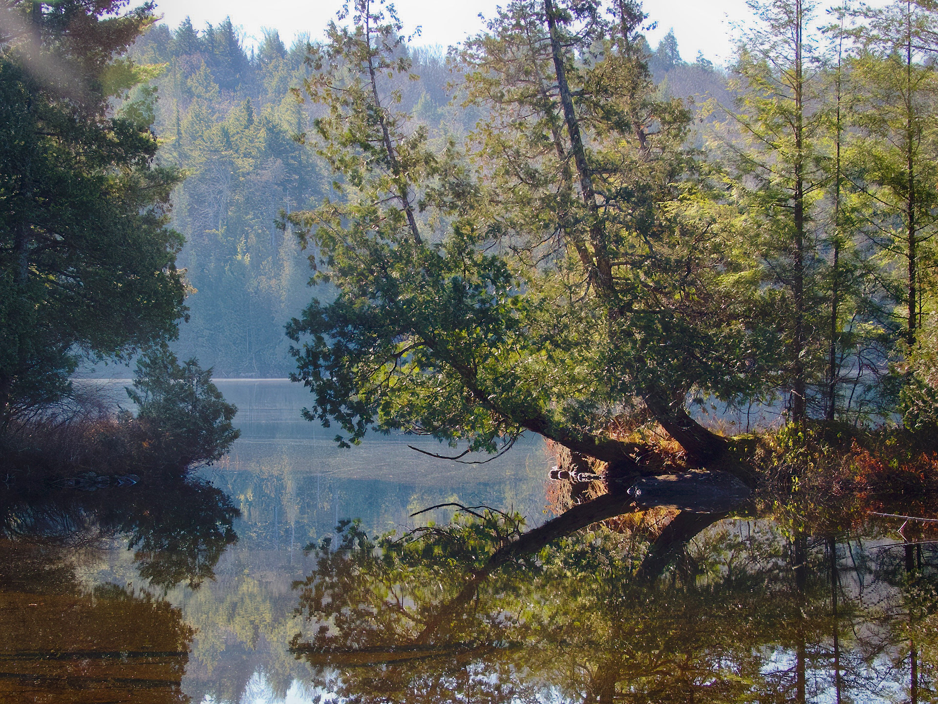 Newcomb Lake, Santanoni Preserve