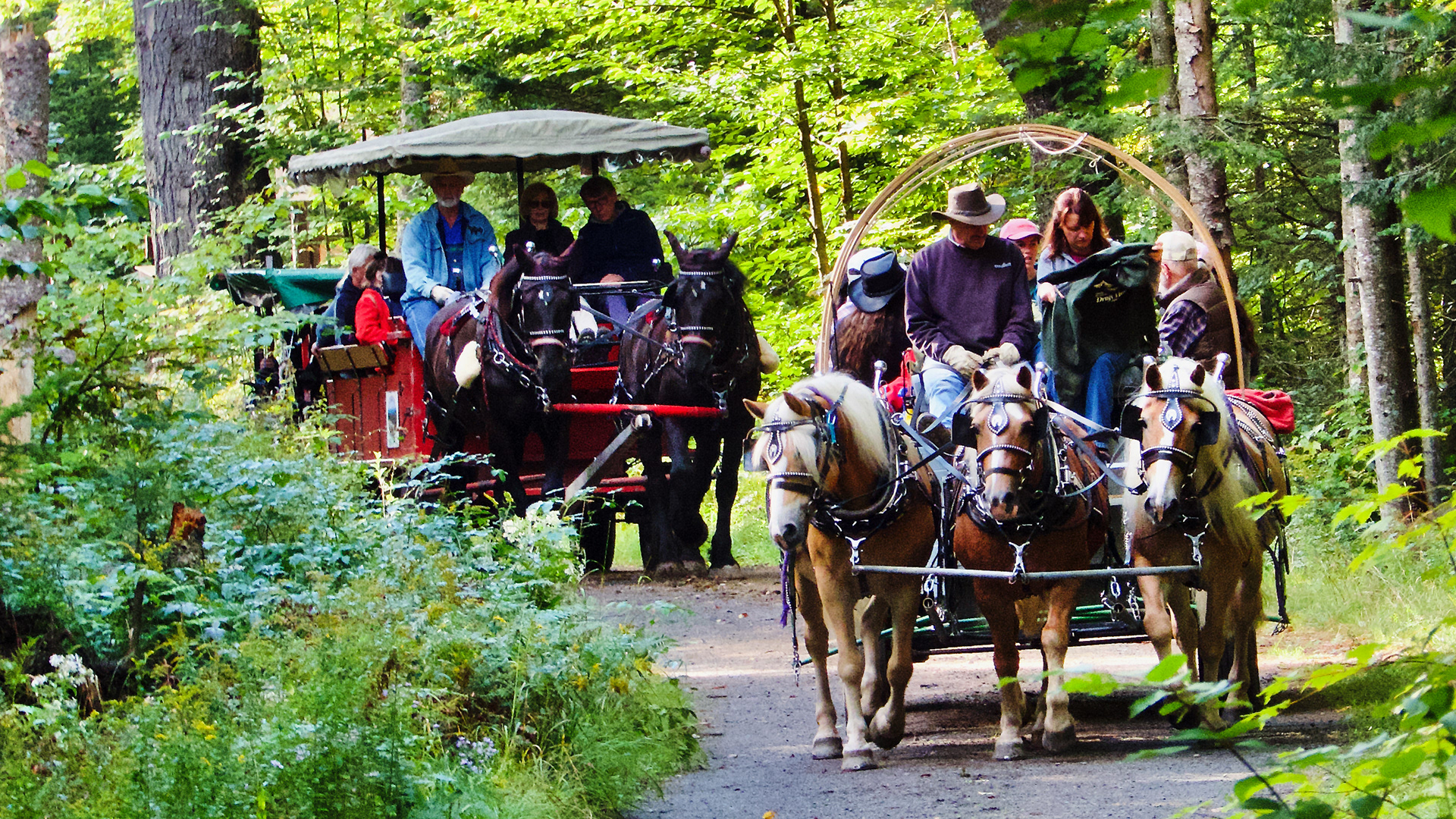 Santanoni Wagon Rides