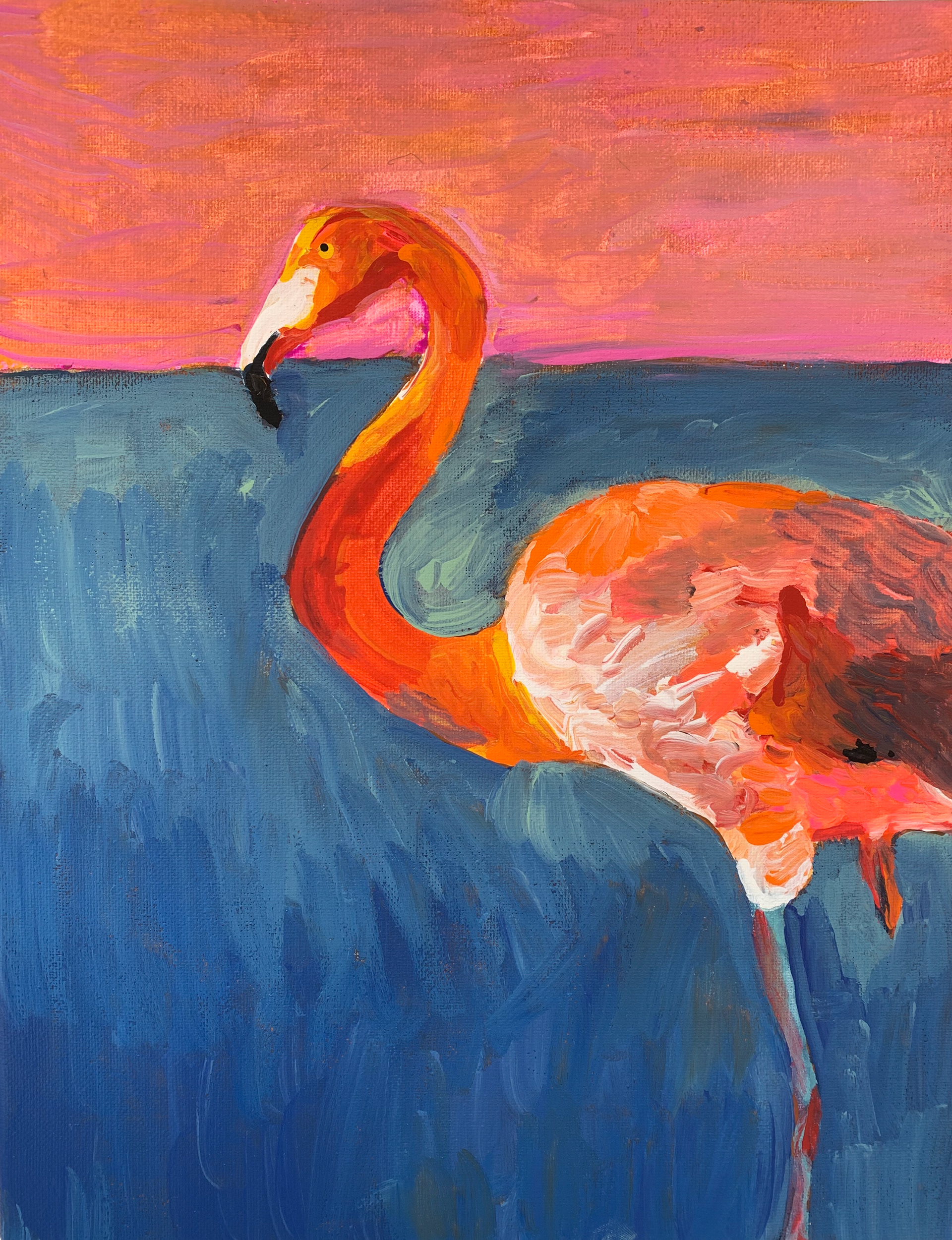 Flamingo Painting Study