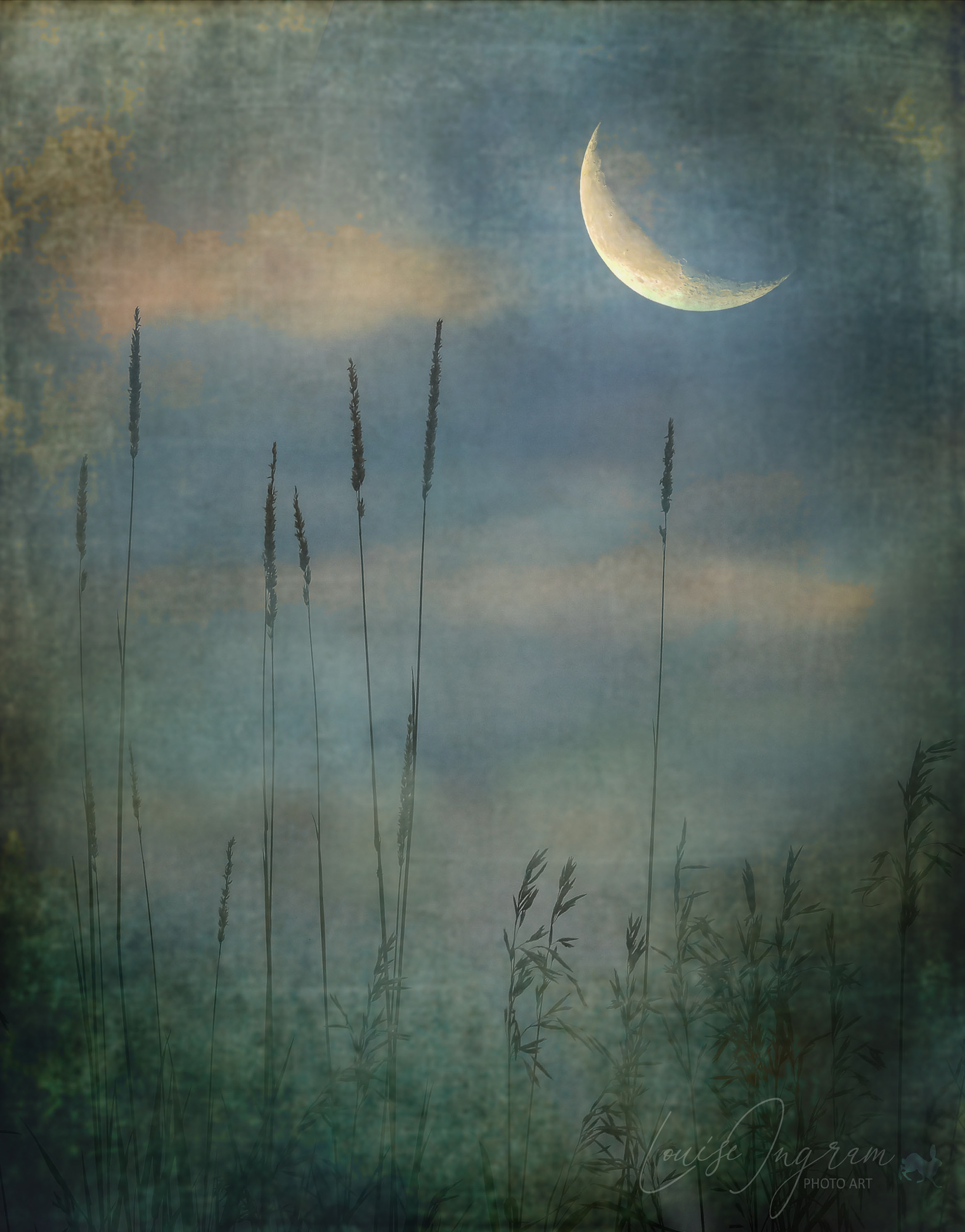 Moongrass