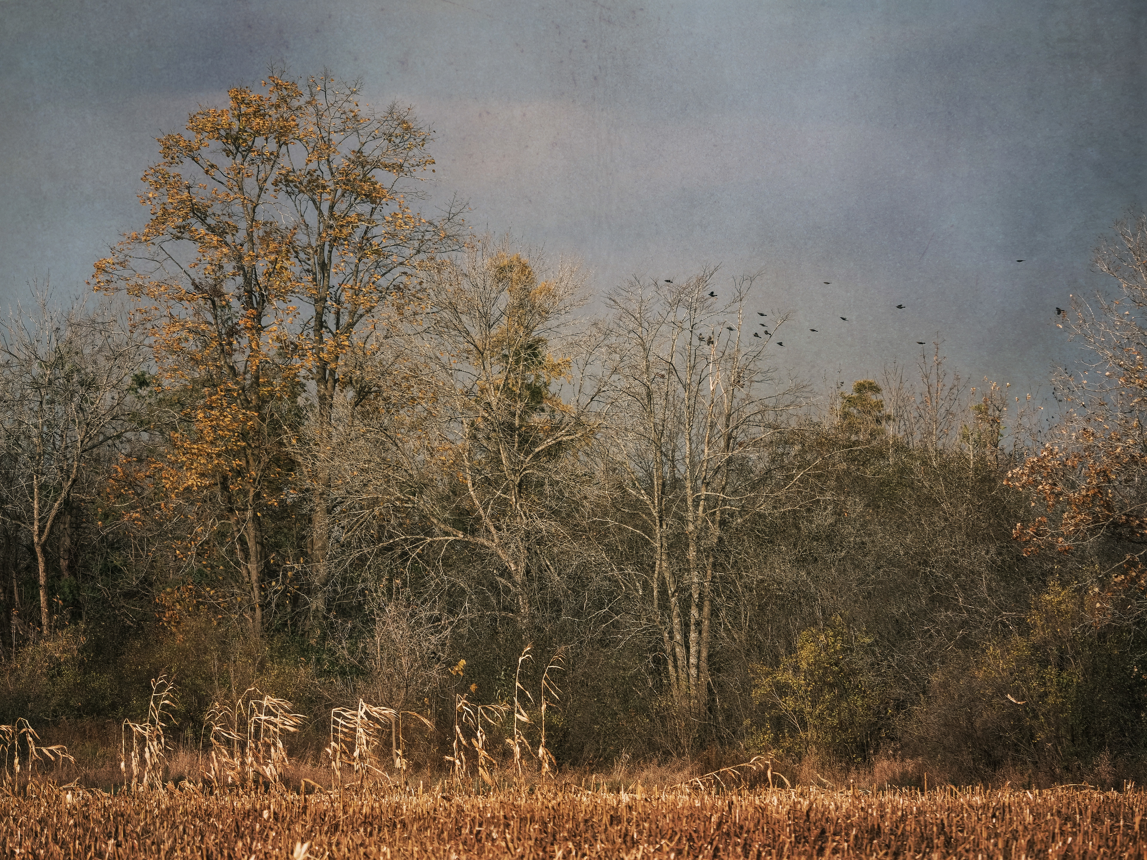 October Flight