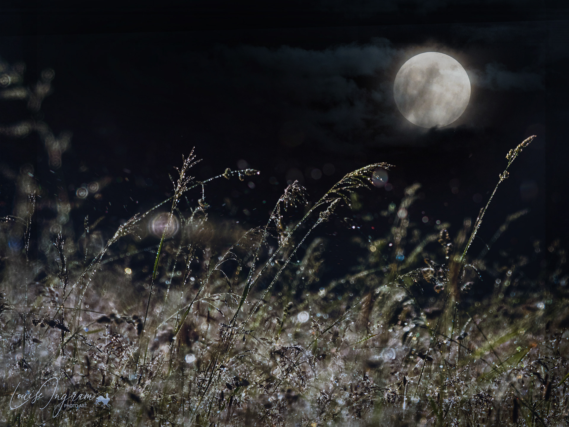 Somewhere It's Midnight