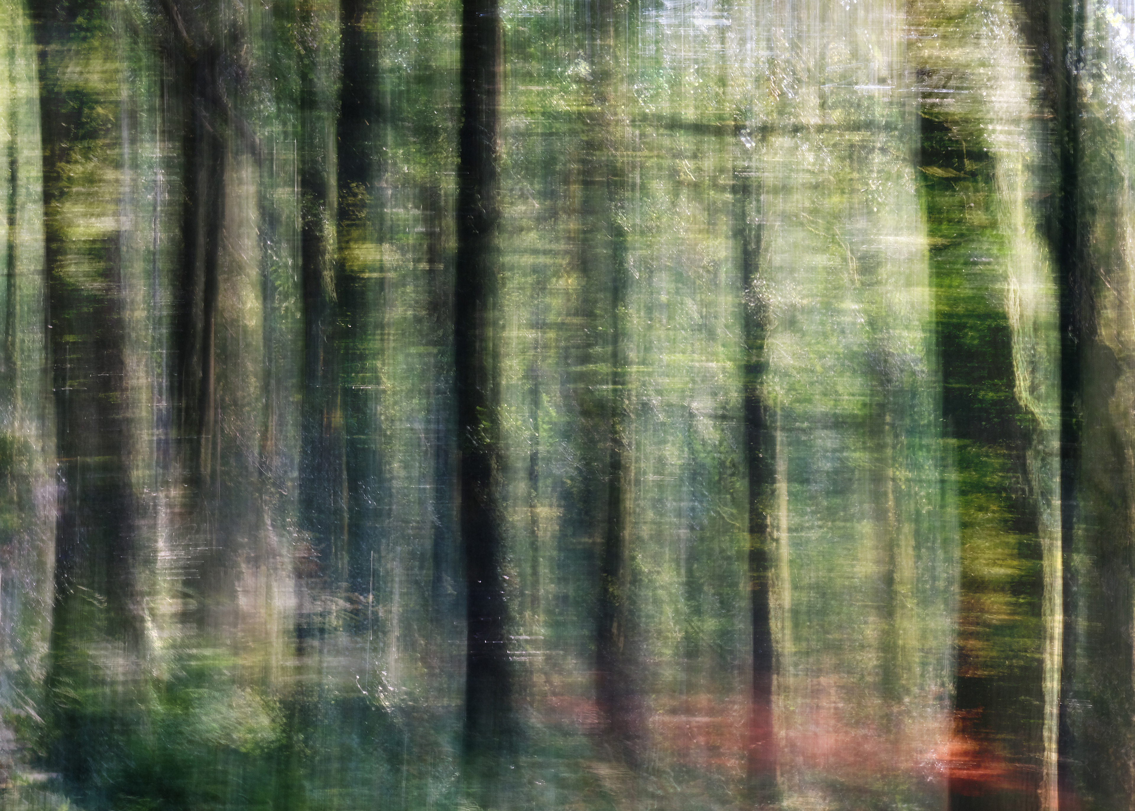 autumn fire