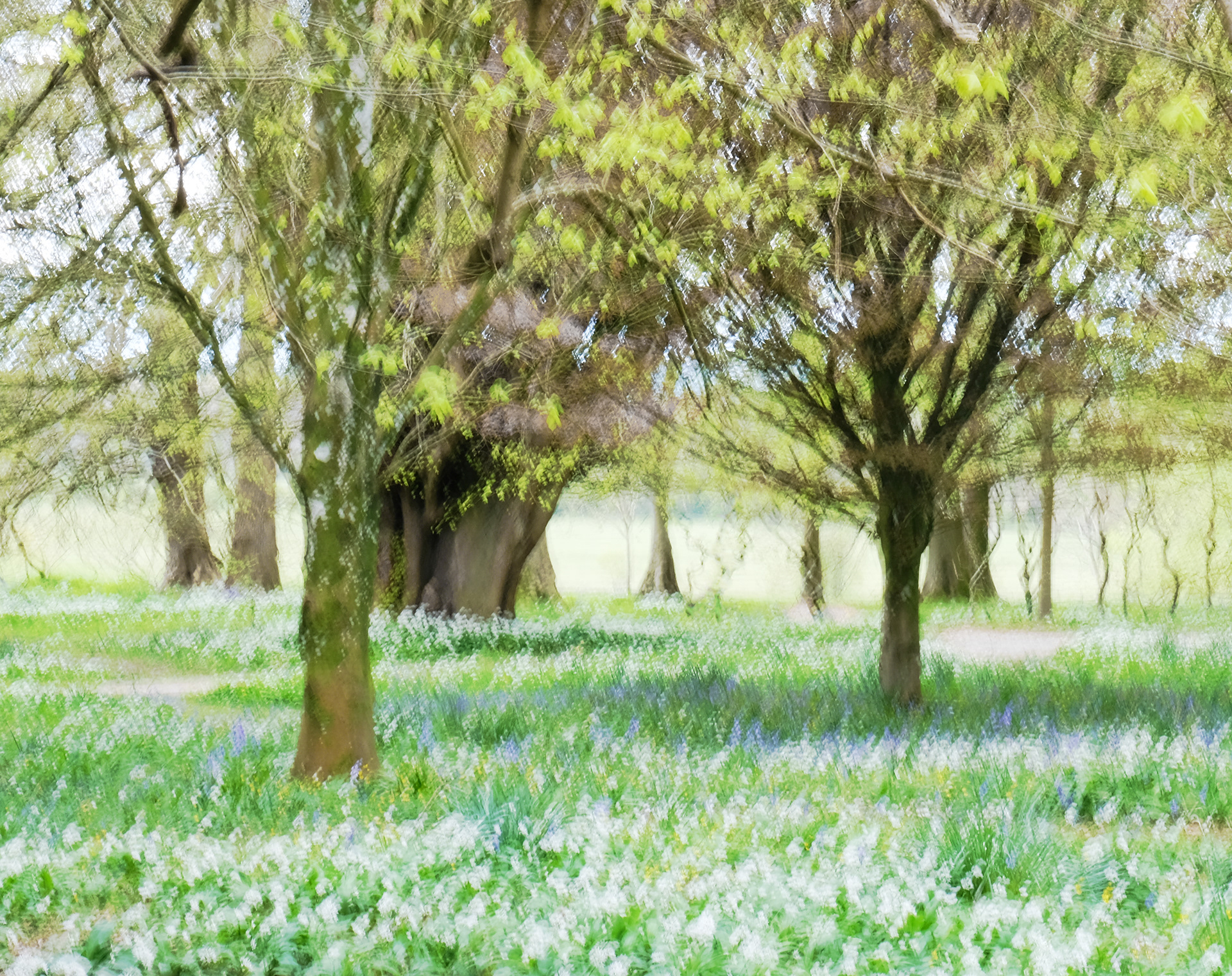 holker spring