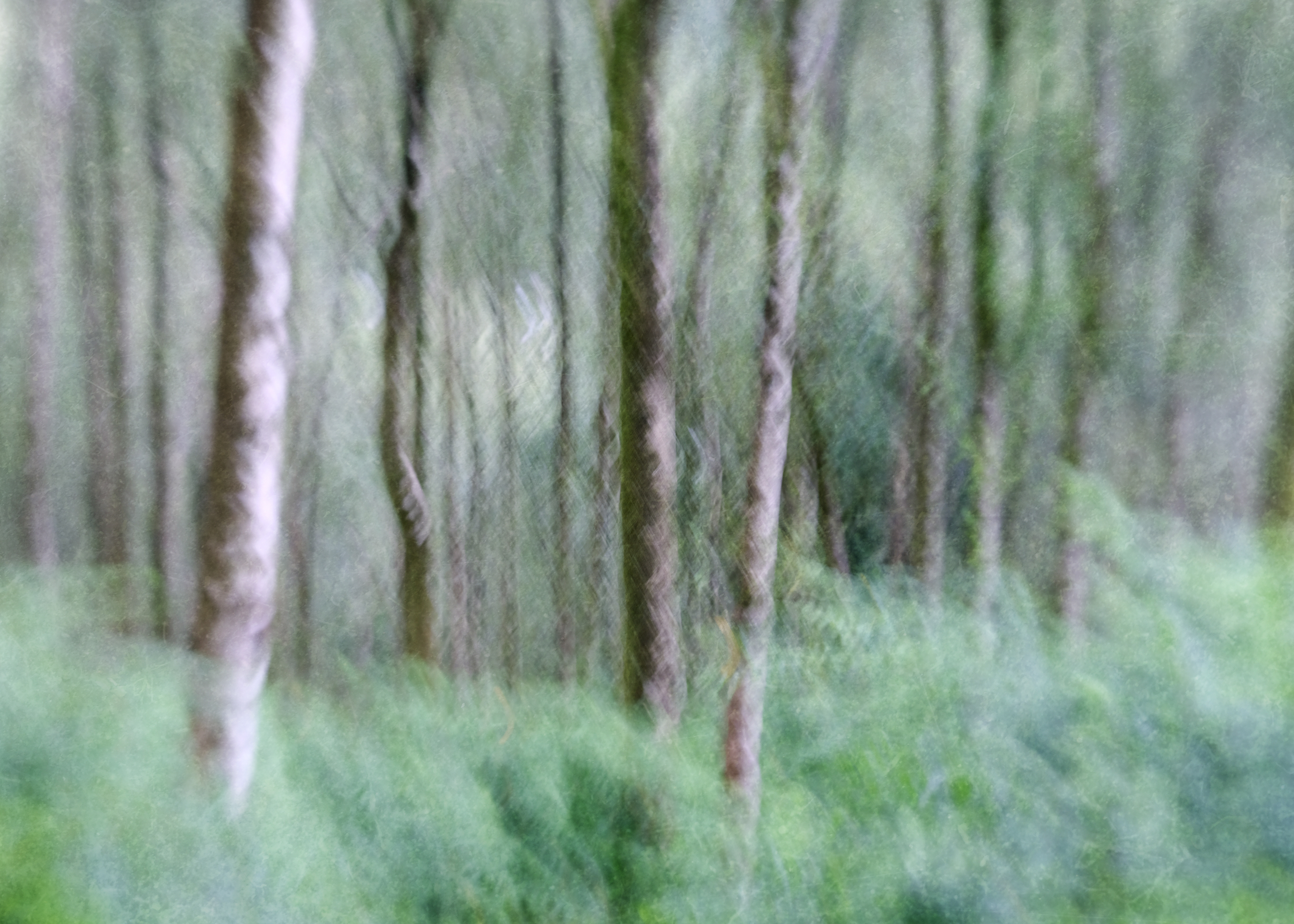 haverthwaite heights in august