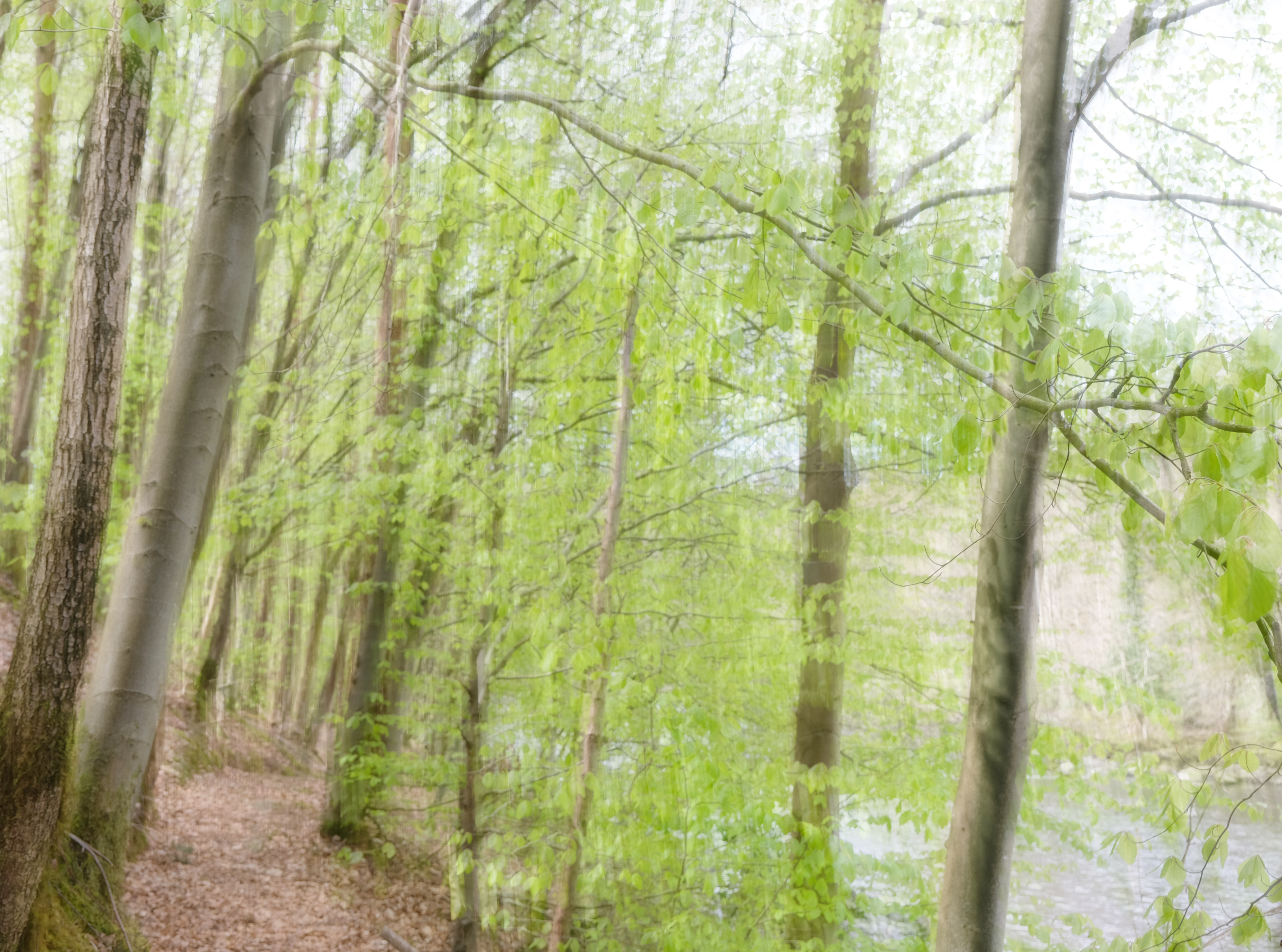 by the river