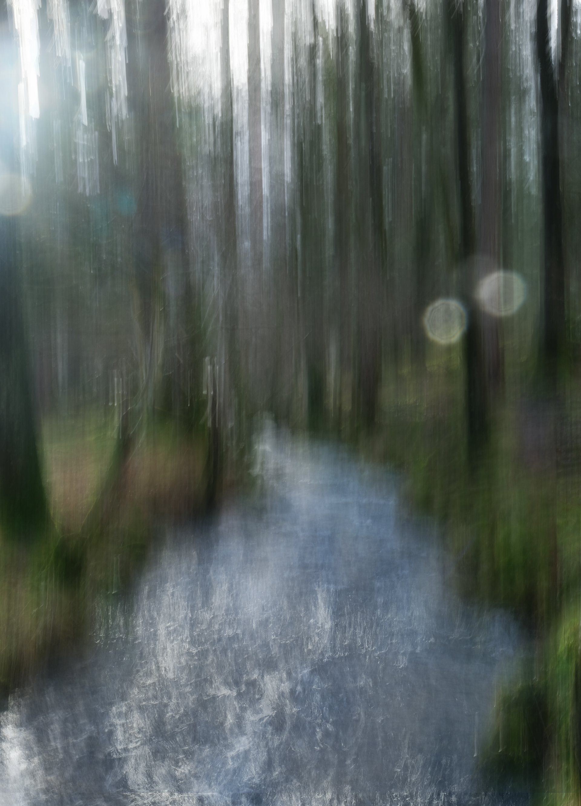 stream in the woods #1