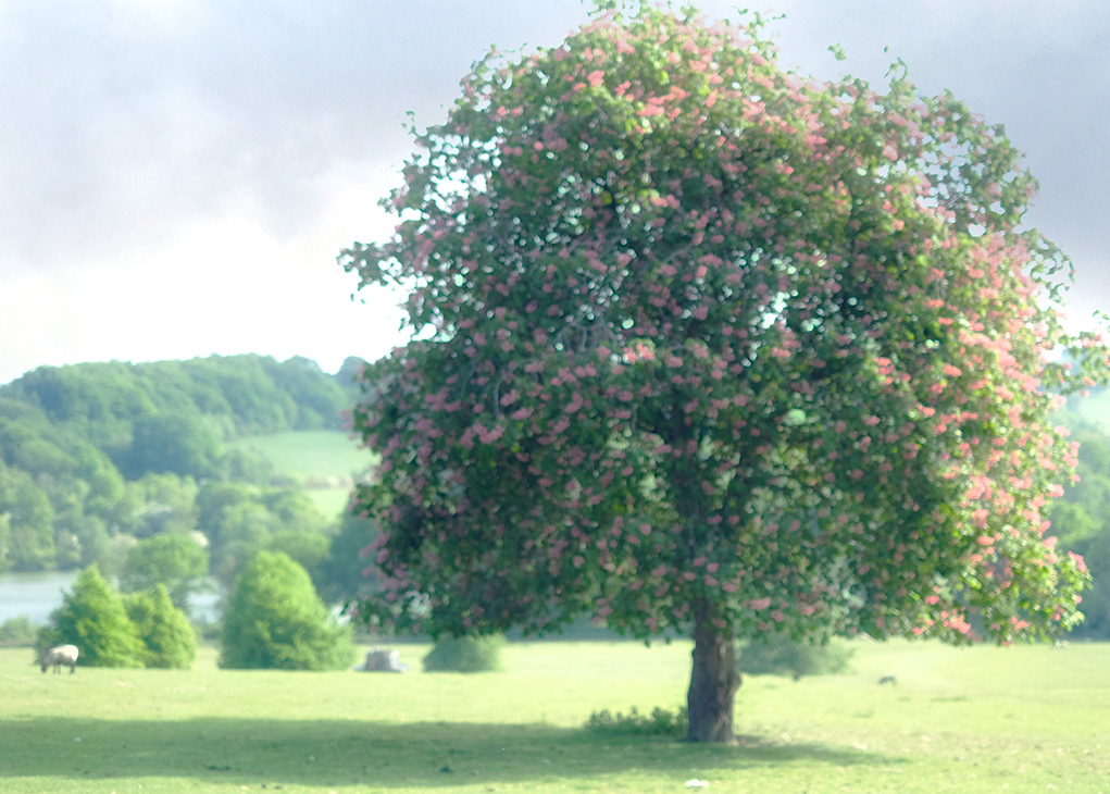 Yorkshire Sculpture Park
