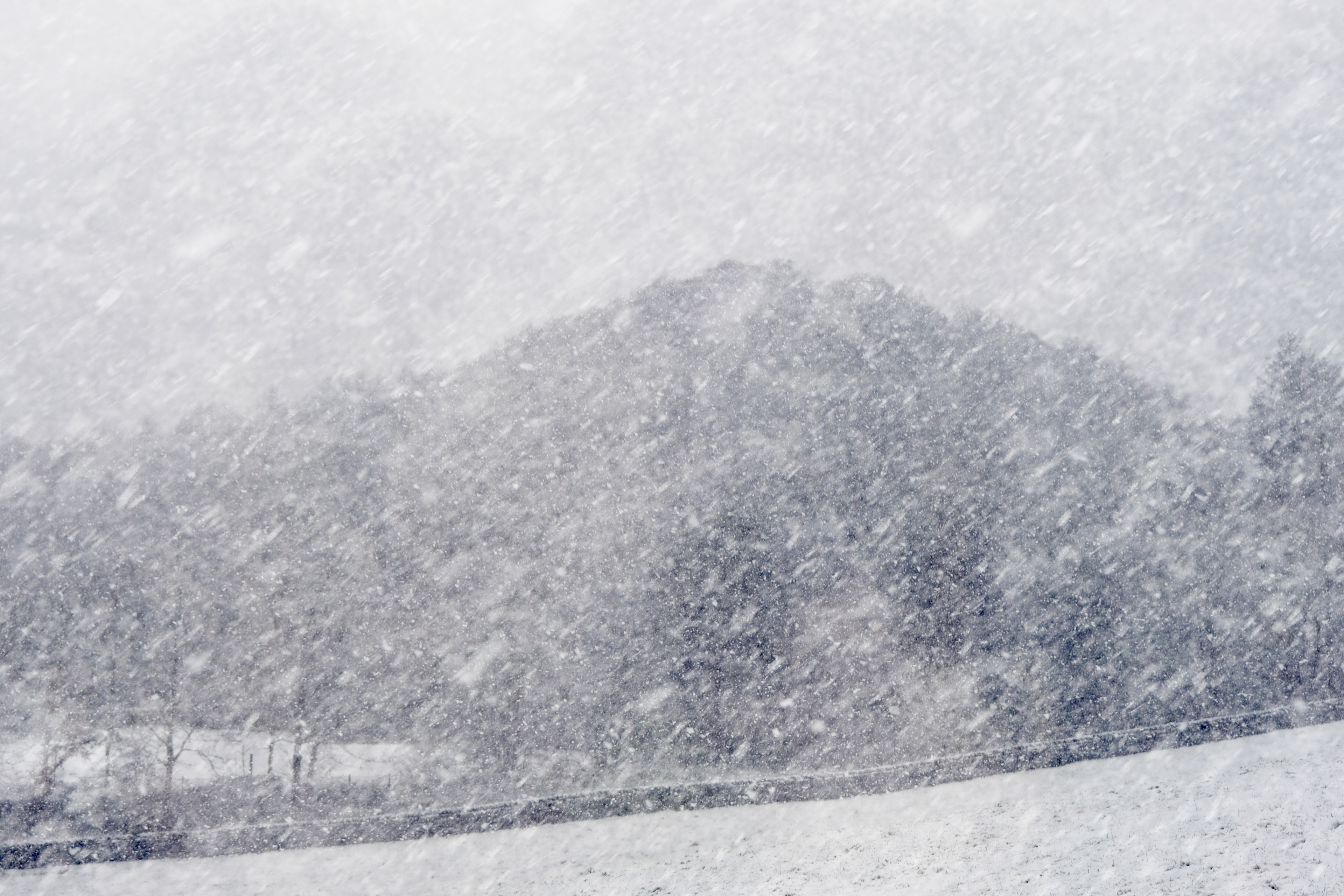 haverthwaite heights