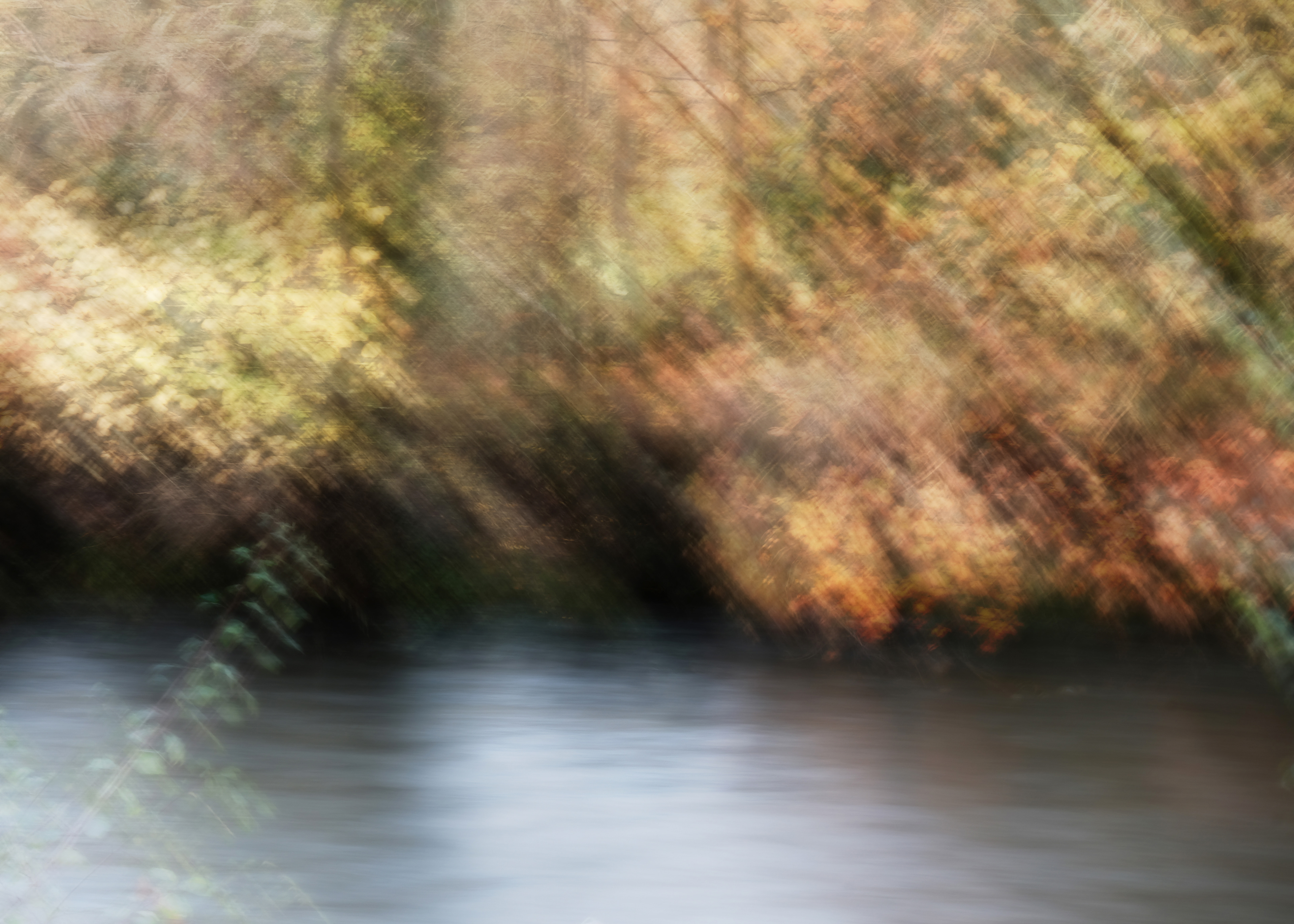by the river in autumn