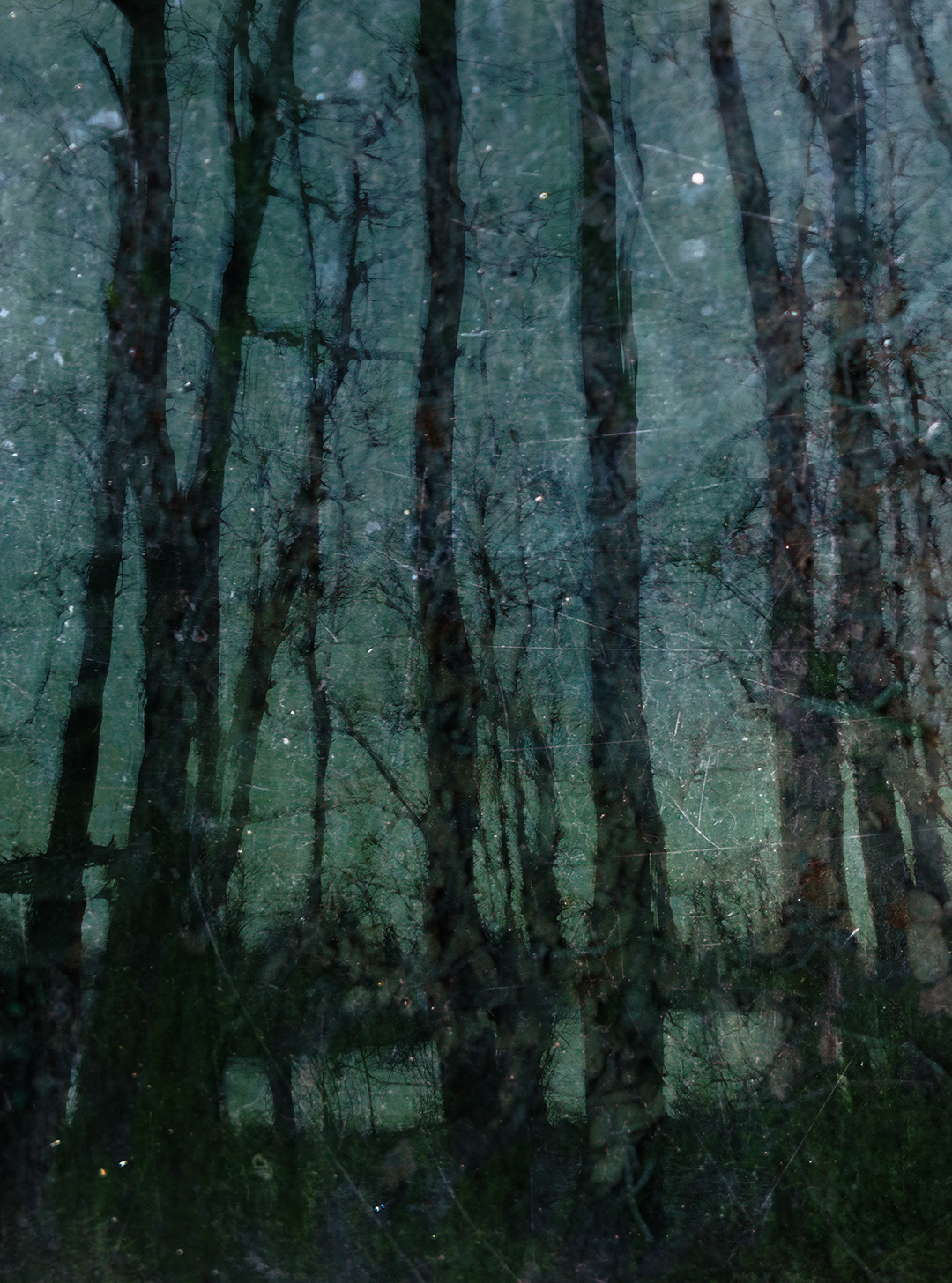 by the river winter #1
