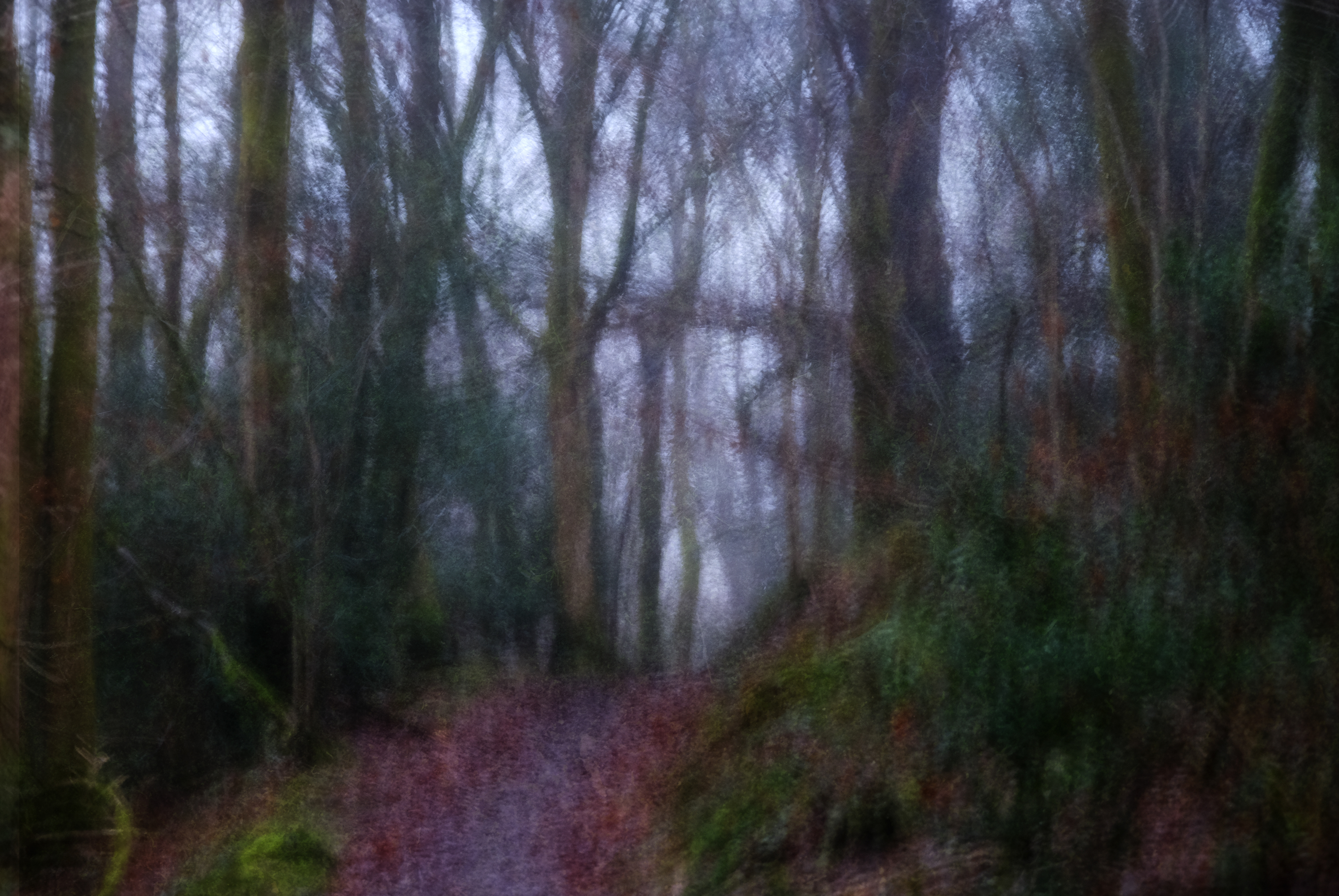 winter dusk path #2
