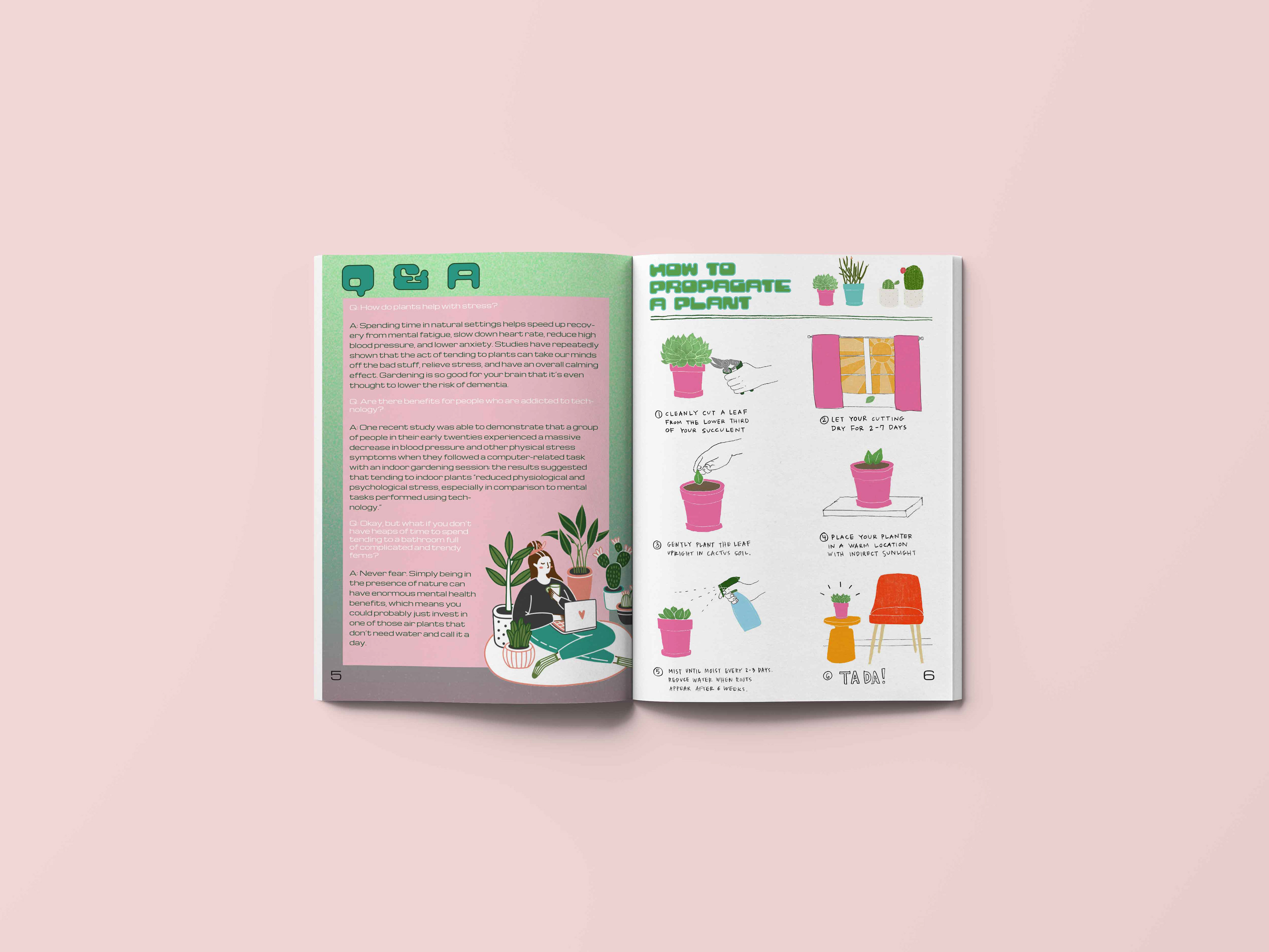 Spread 3 (Q&A/Infographic)