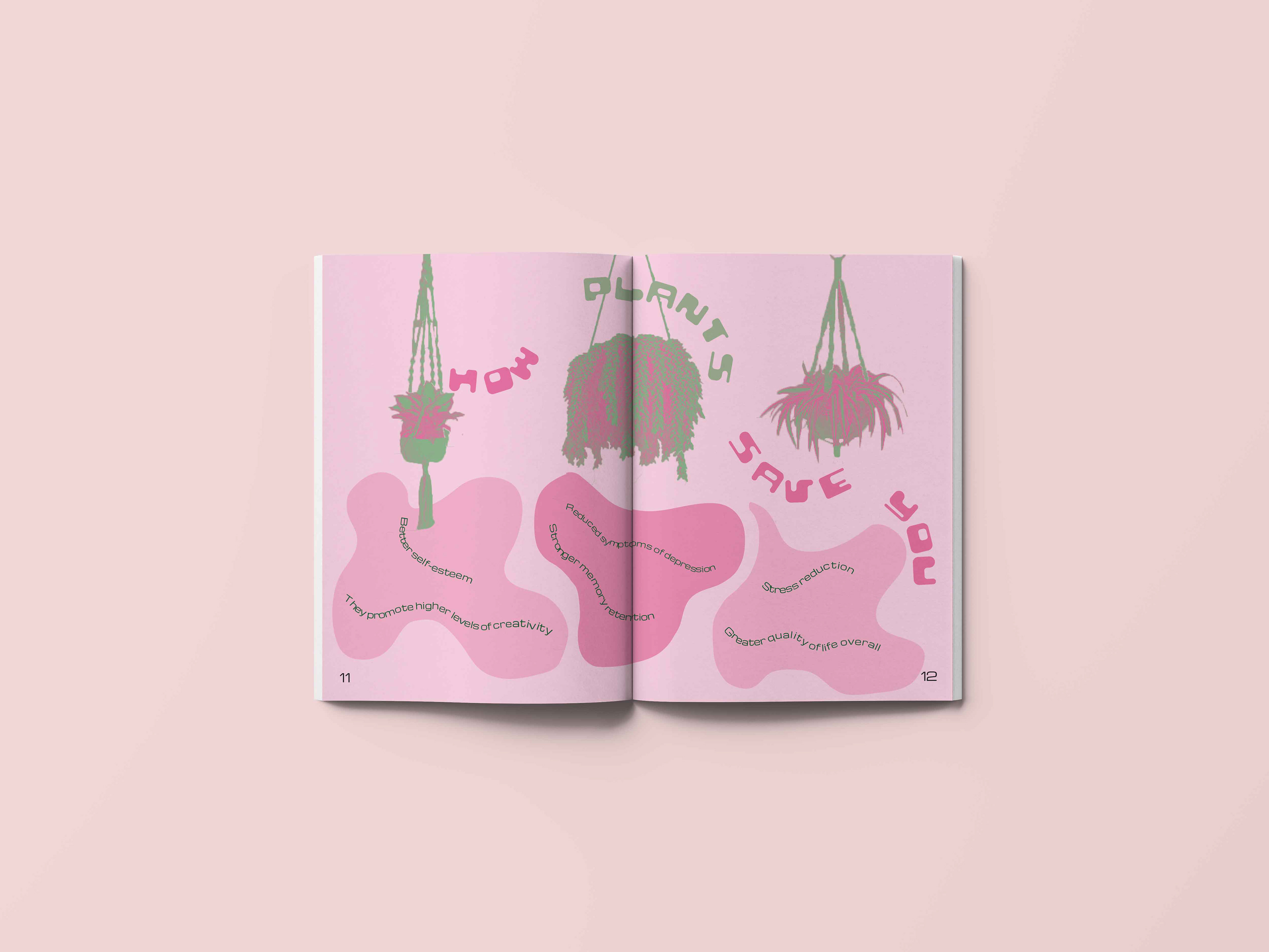 Spread 6