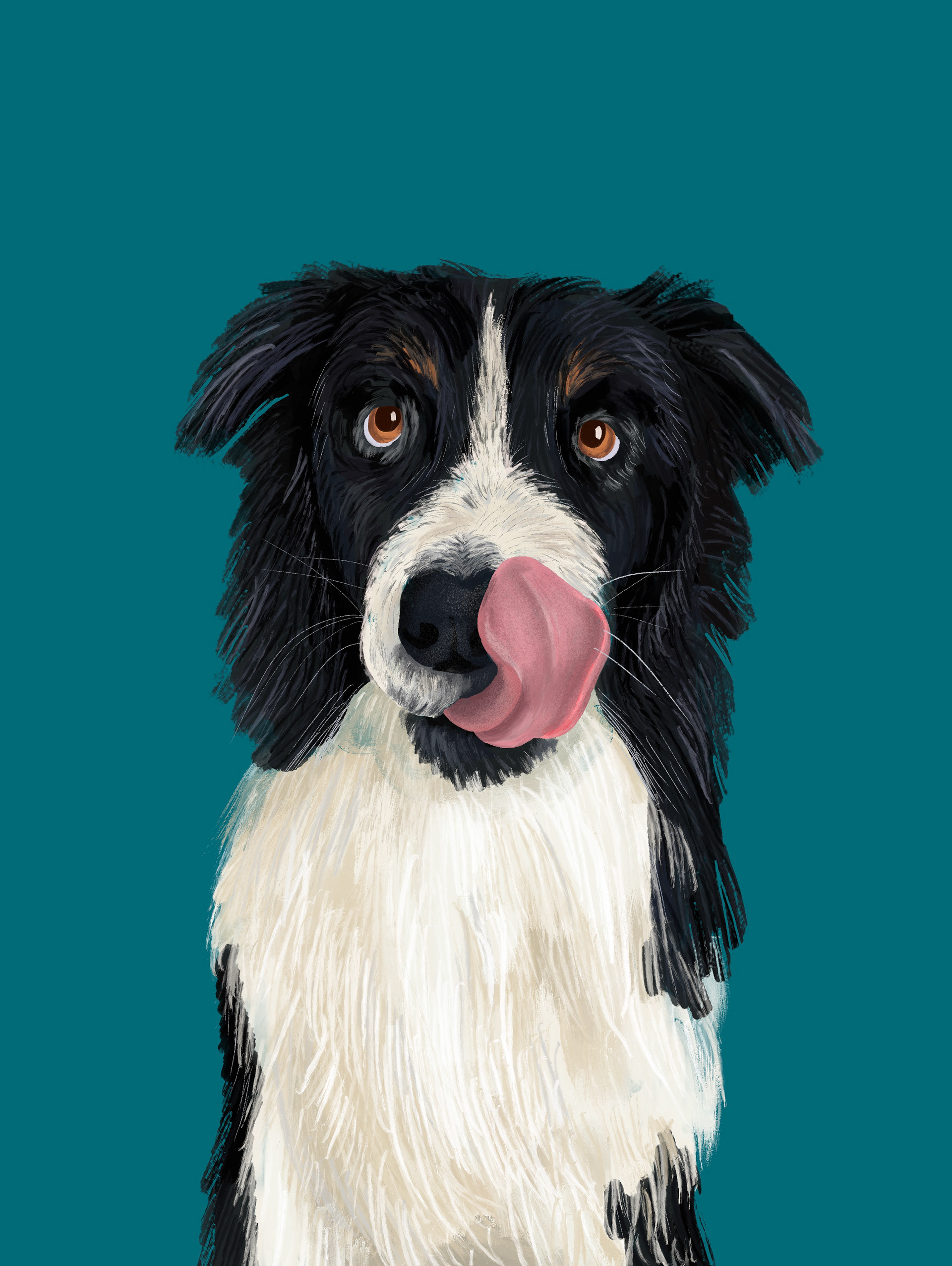 Illustration for Pet Food Brand | SPLOOT