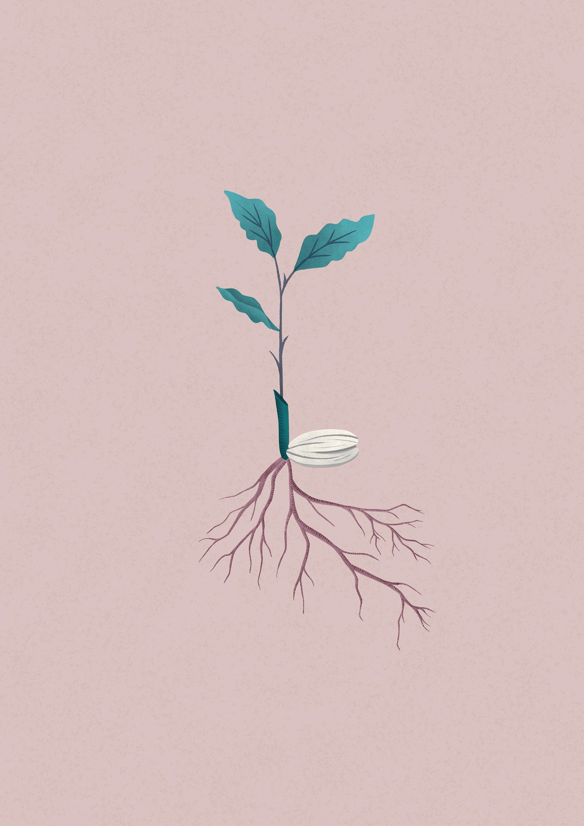 Book Illustration | The Book of Giving