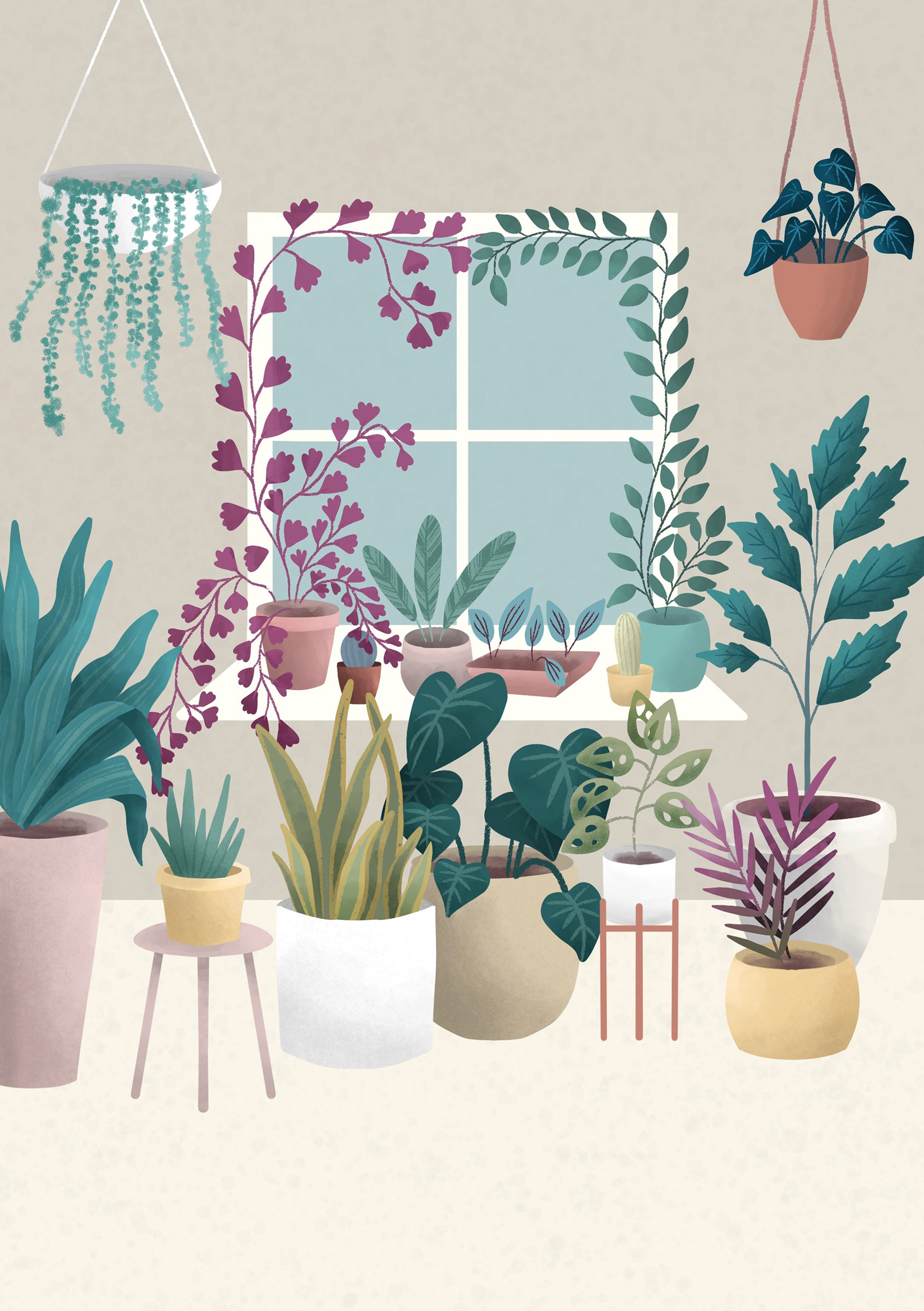 Book Illustration | The Book of Giving
