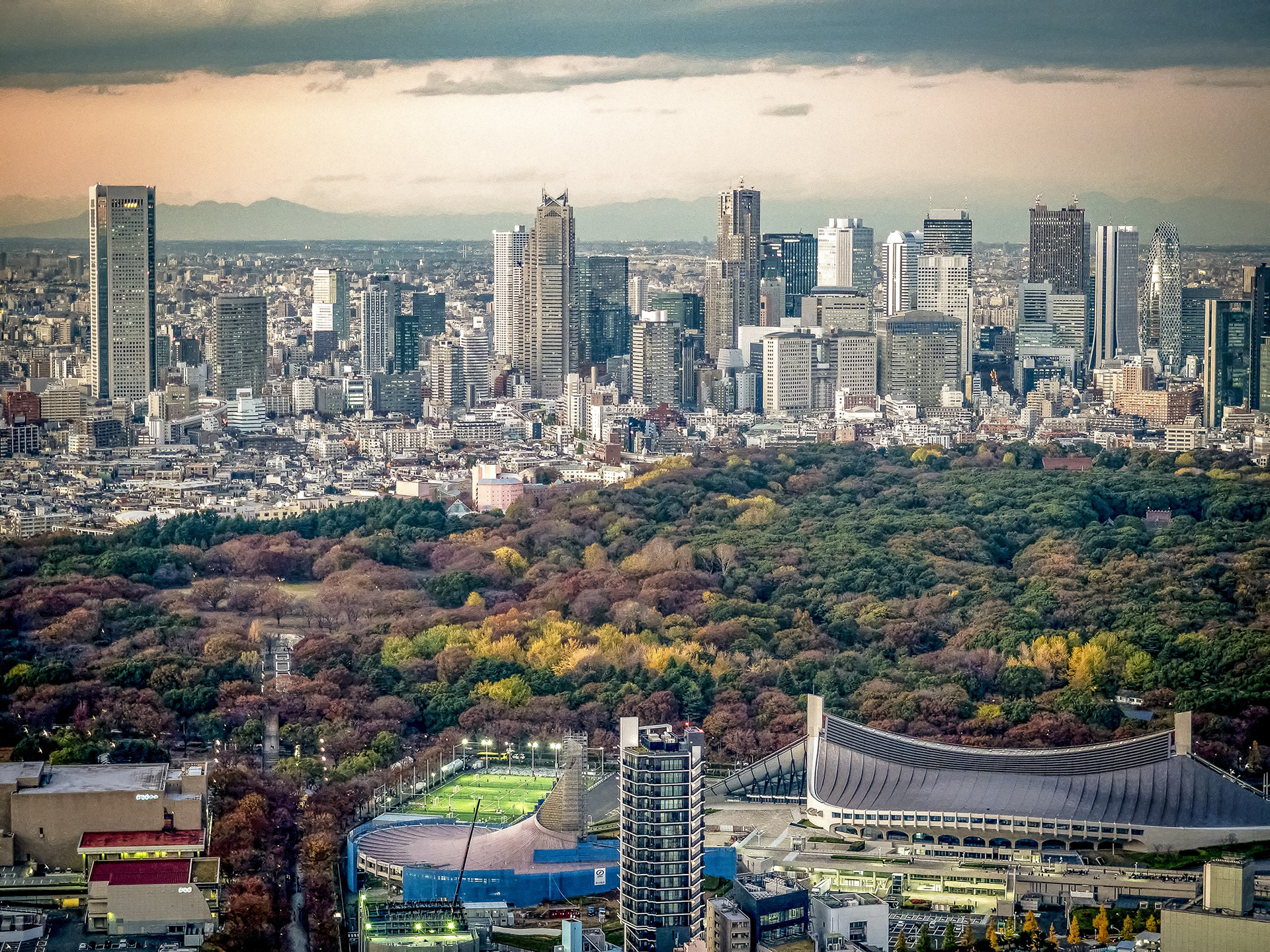 JAPON - «  Contre le ciel d’Automne … » - 16