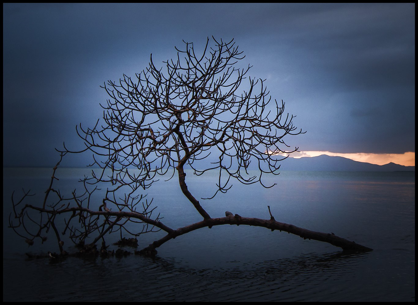 Arboressences - 2